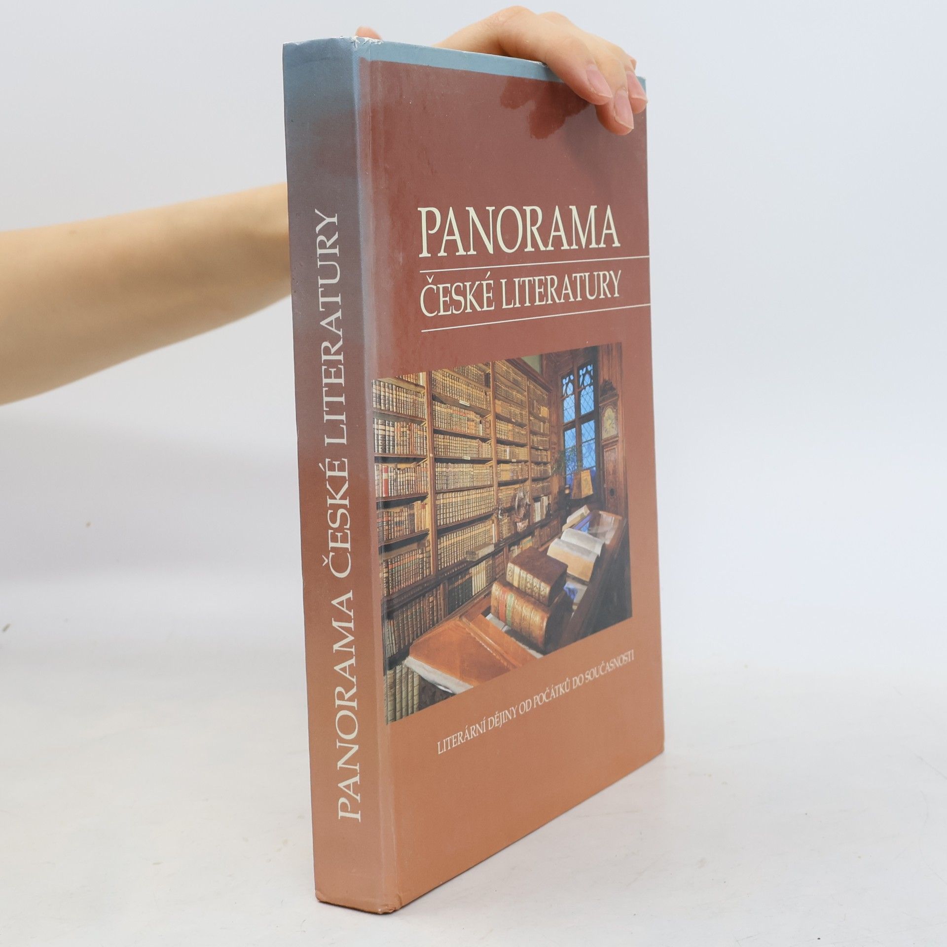 Josef Galík Panorama české literatury. Literární dějiny od počátků do současnosti