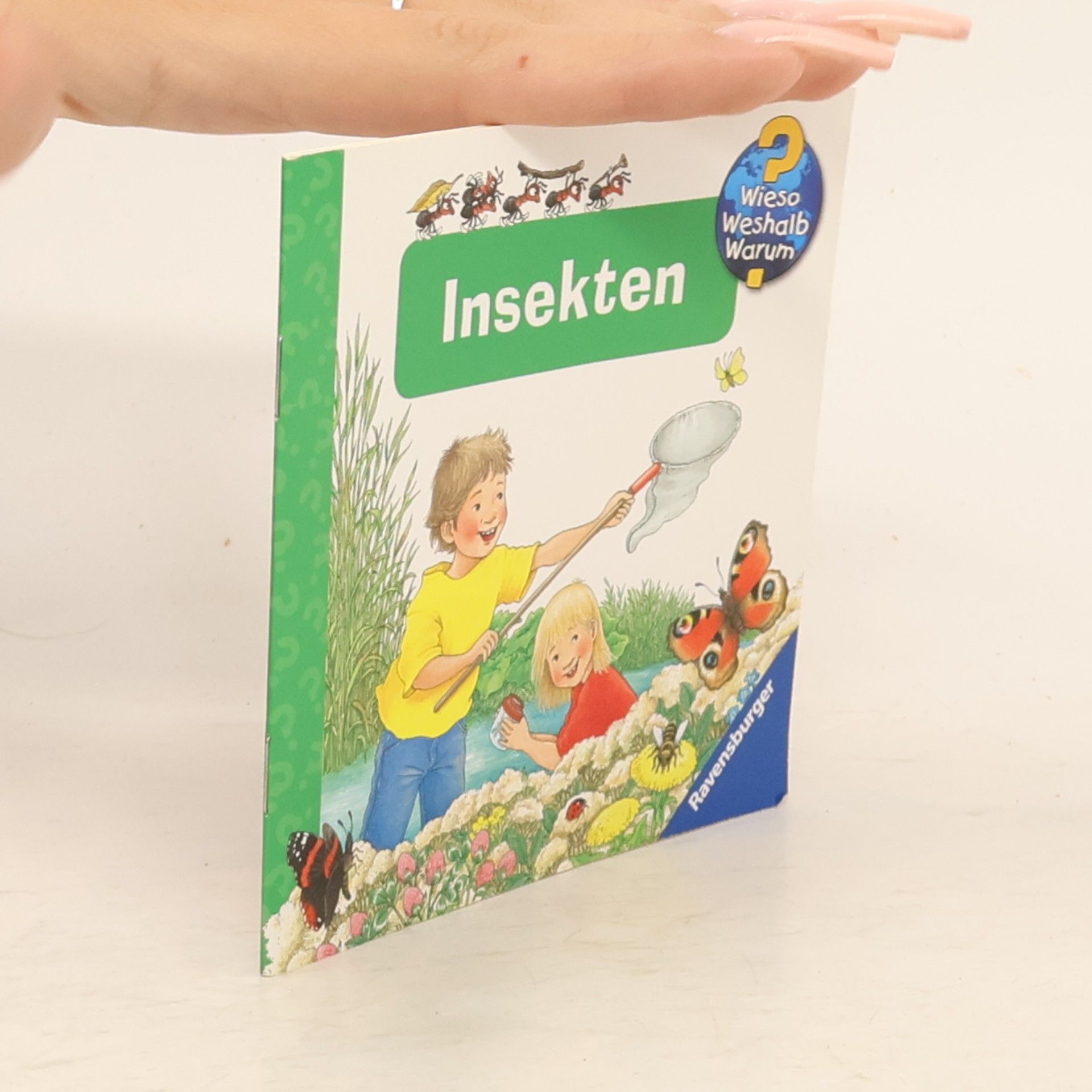 Angela Weinhold Insekten