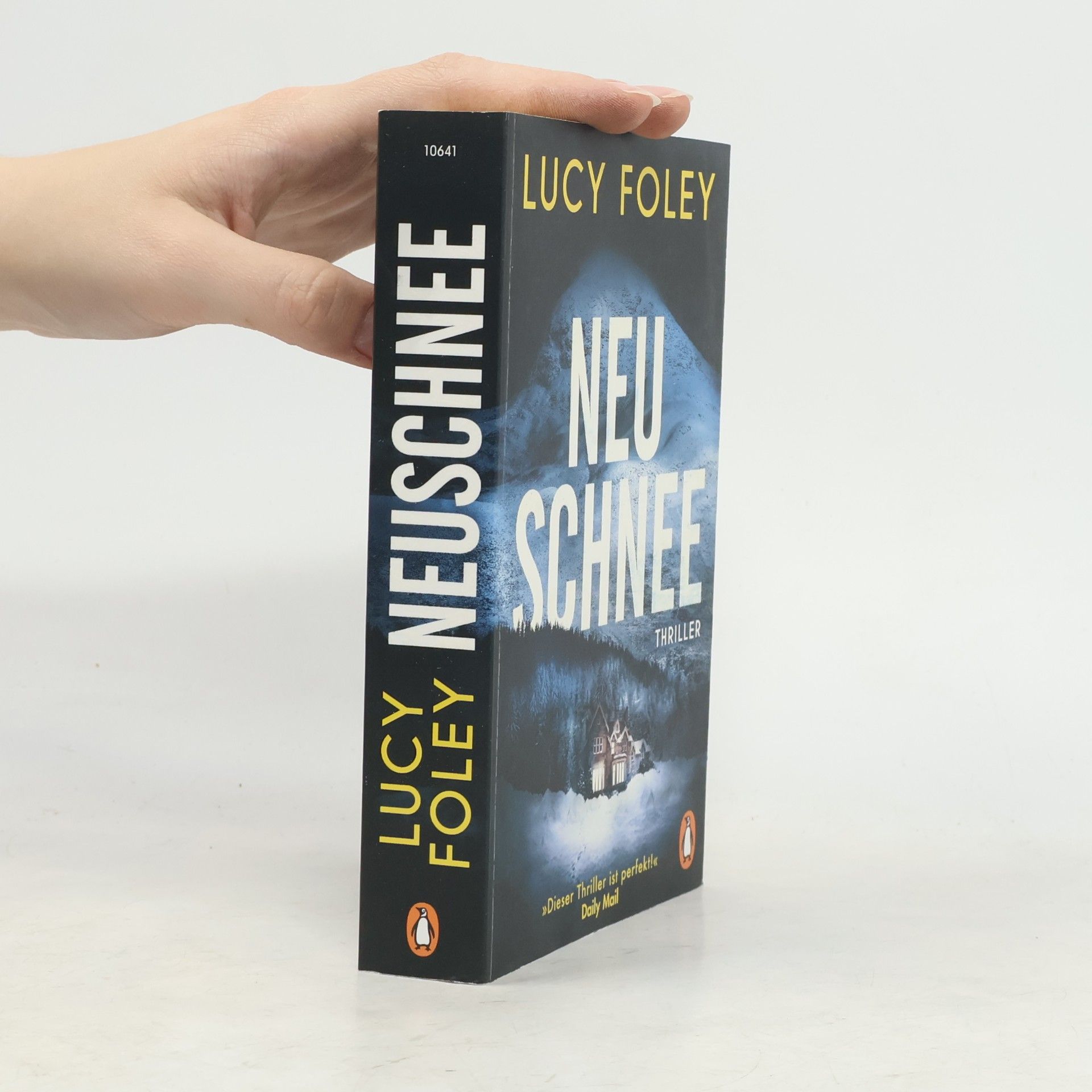Lucy Foley Neuschnee