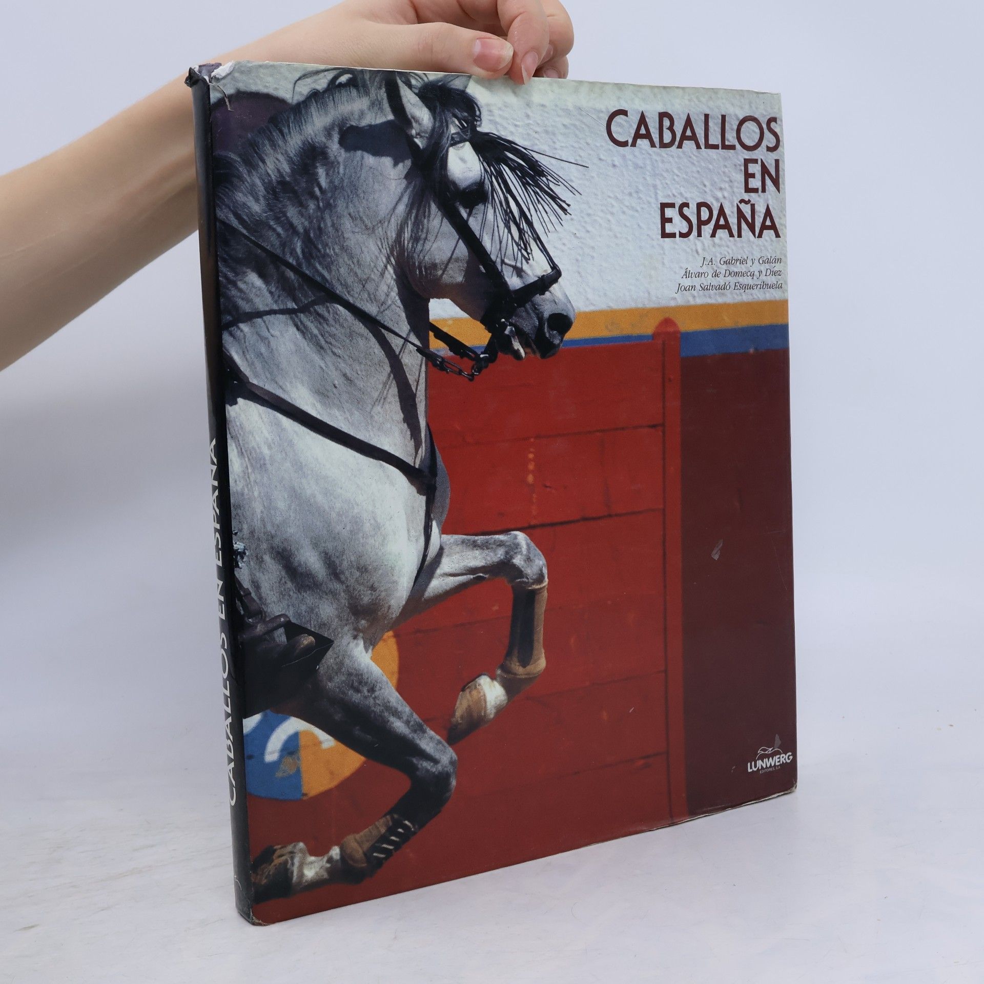 Caballos en España - Edición bilingüe