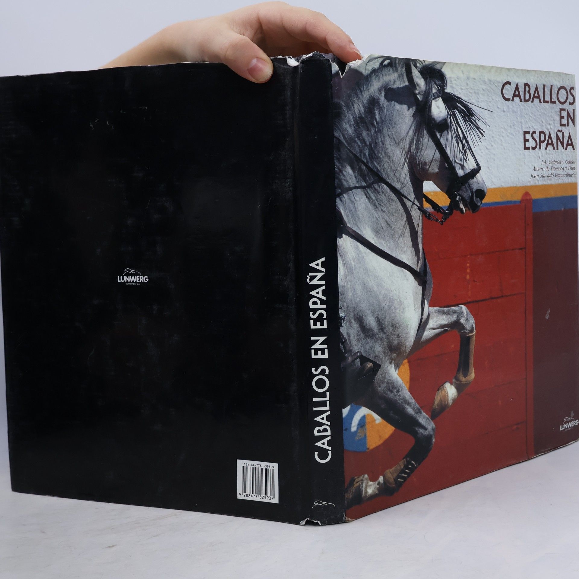 José Antonio Gabriel y Galán Caballos en España - Edición bilingüe
