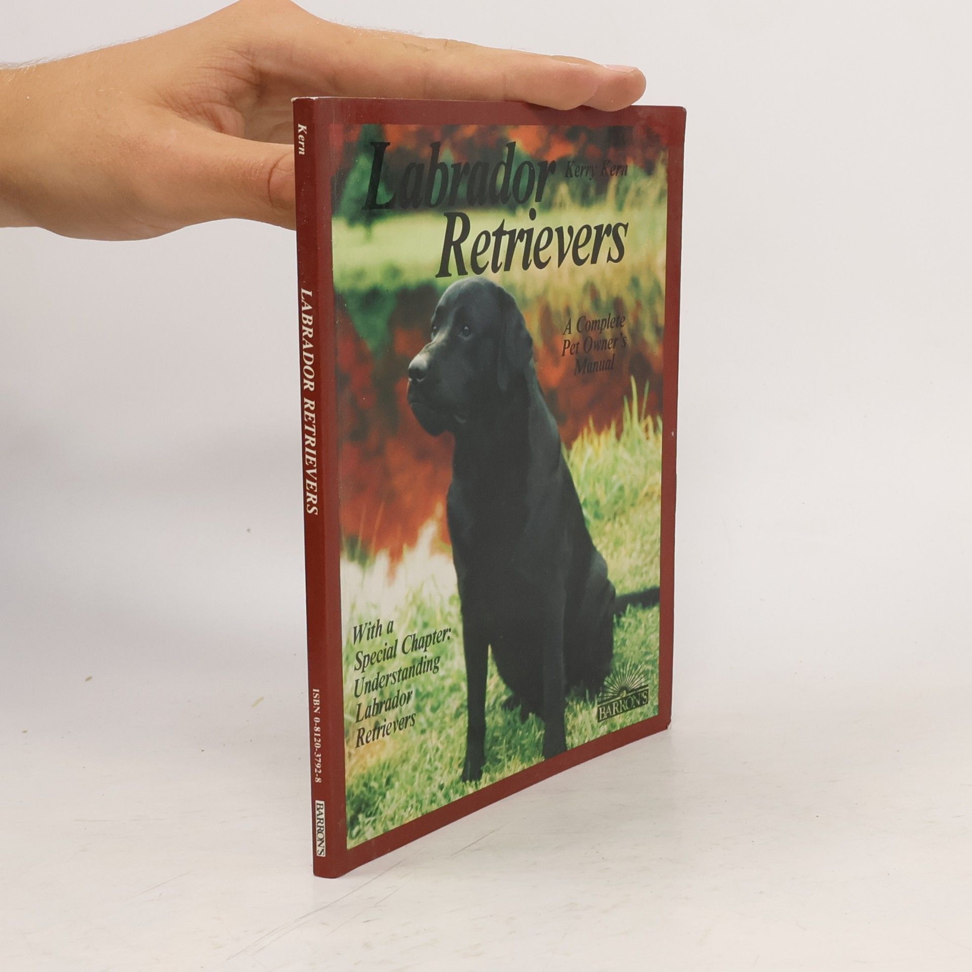 Kerry V. Kern Labrador Retrievers