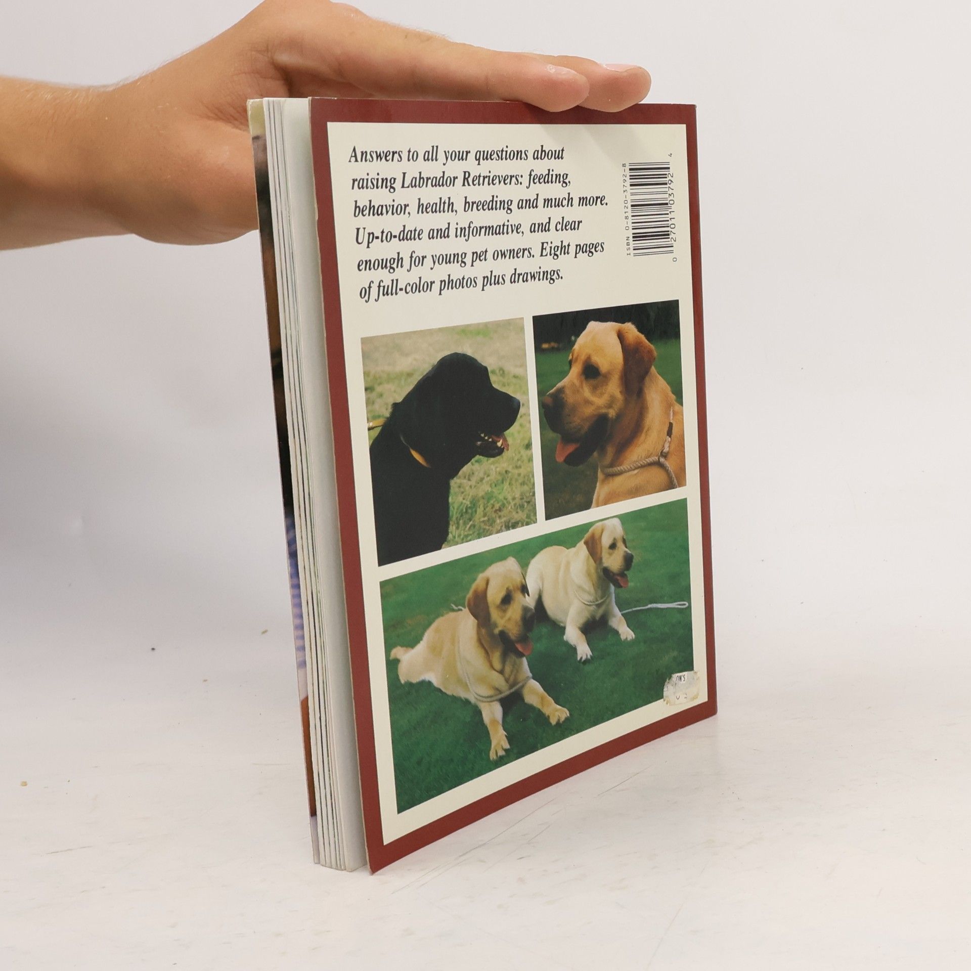 Kerry V. Kern Labrador Retrievers