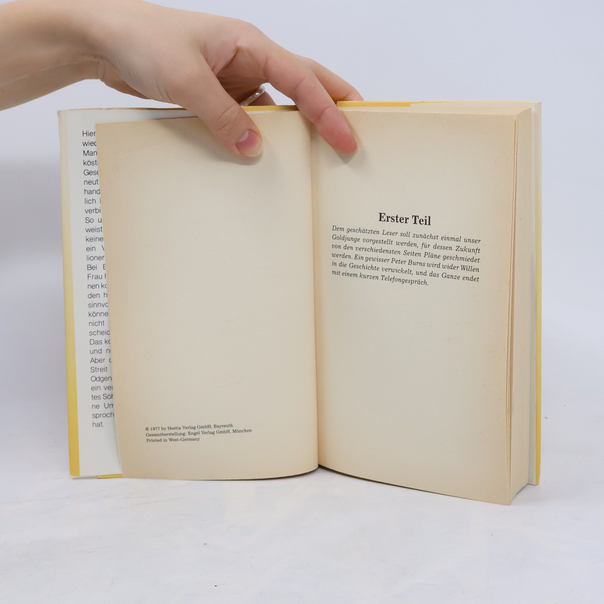 Pelham Wodehouse Ein Goldjunge