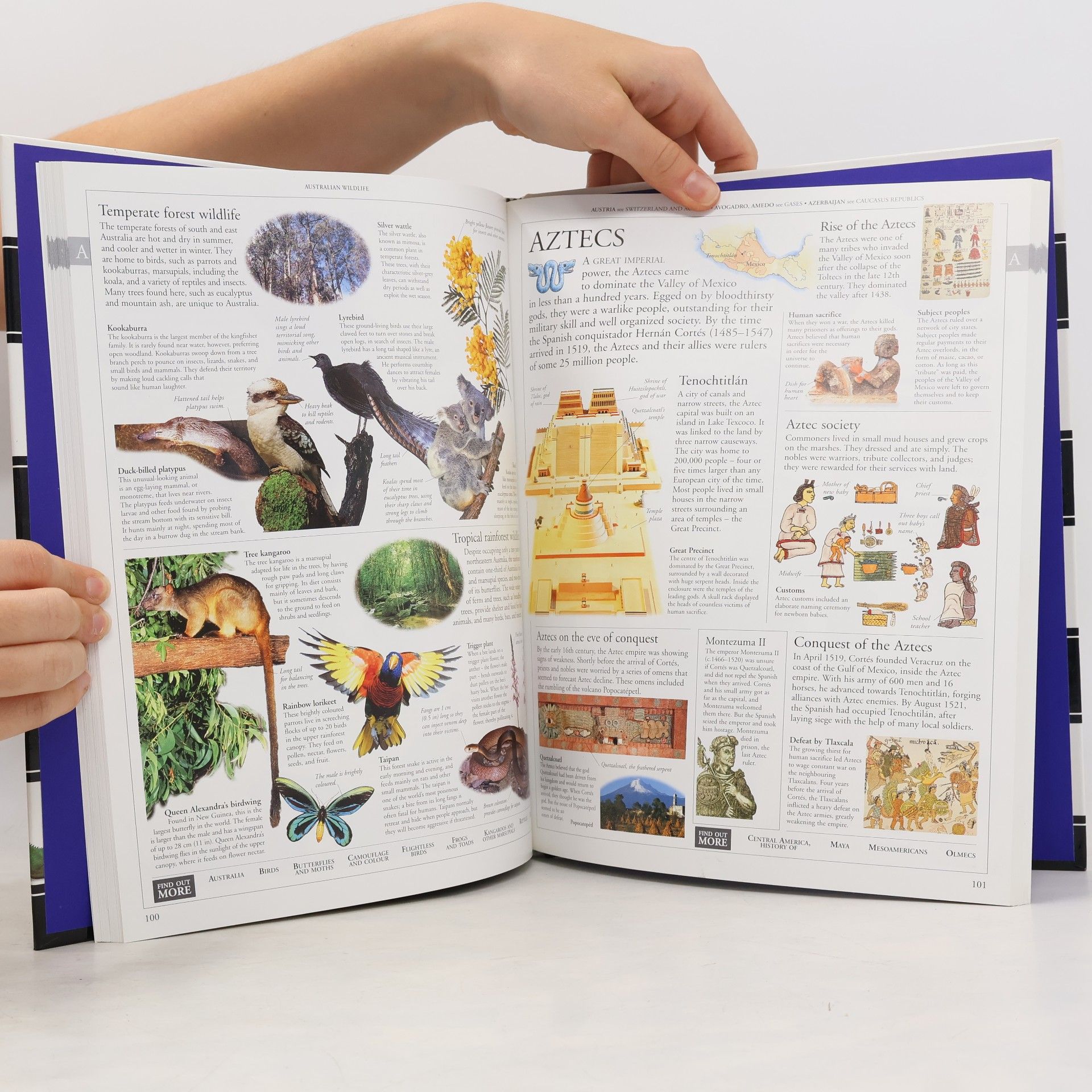 kolektiv Millennium Family Encyclopedia 1-5