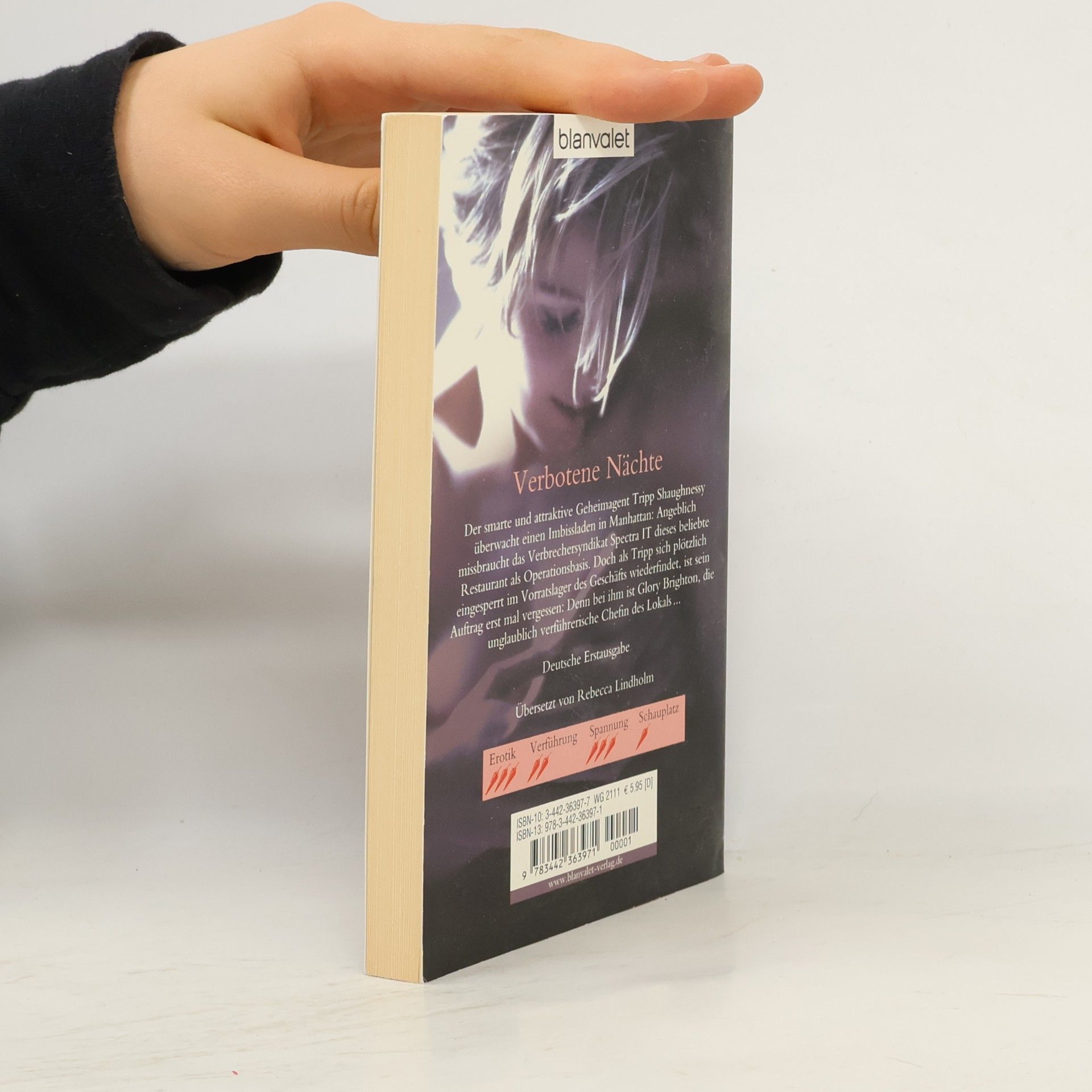 Alison Kent Verbotene Nächte. erotischer Roman - deutsche Erstausgabe