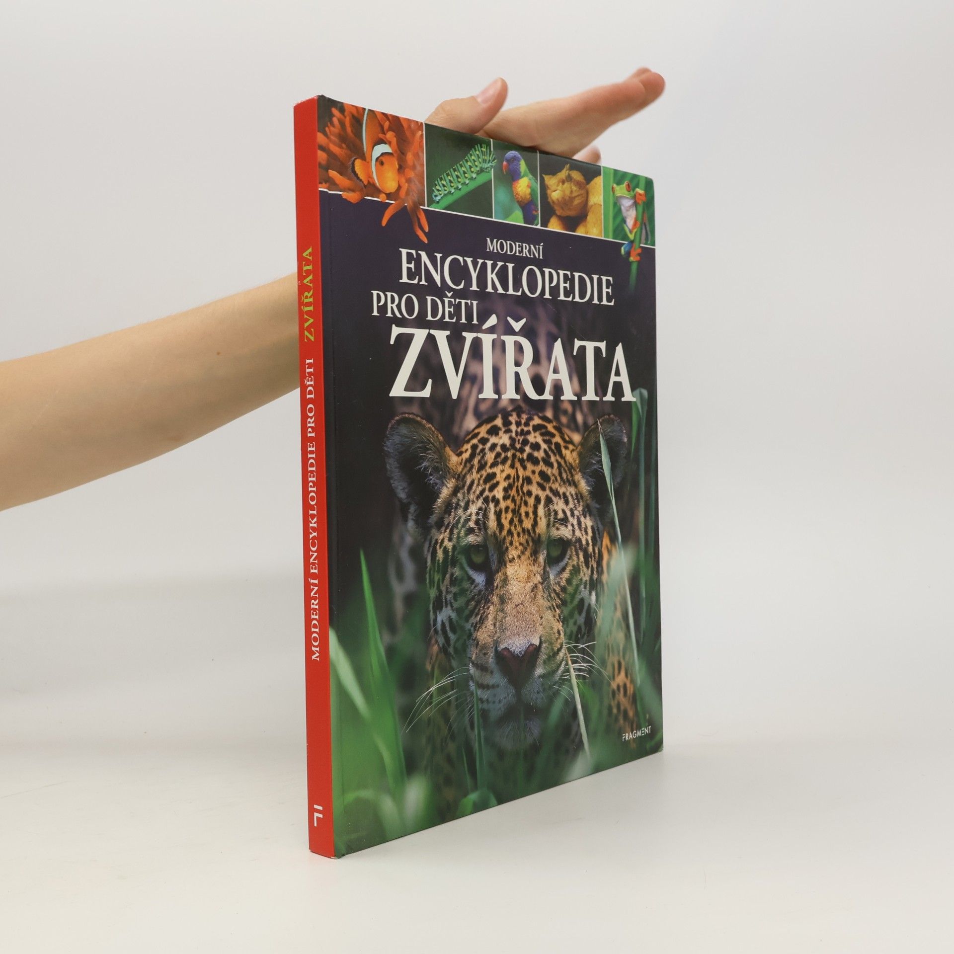 Michael Leach Moderní encyklopedie pro děti - Zvířata