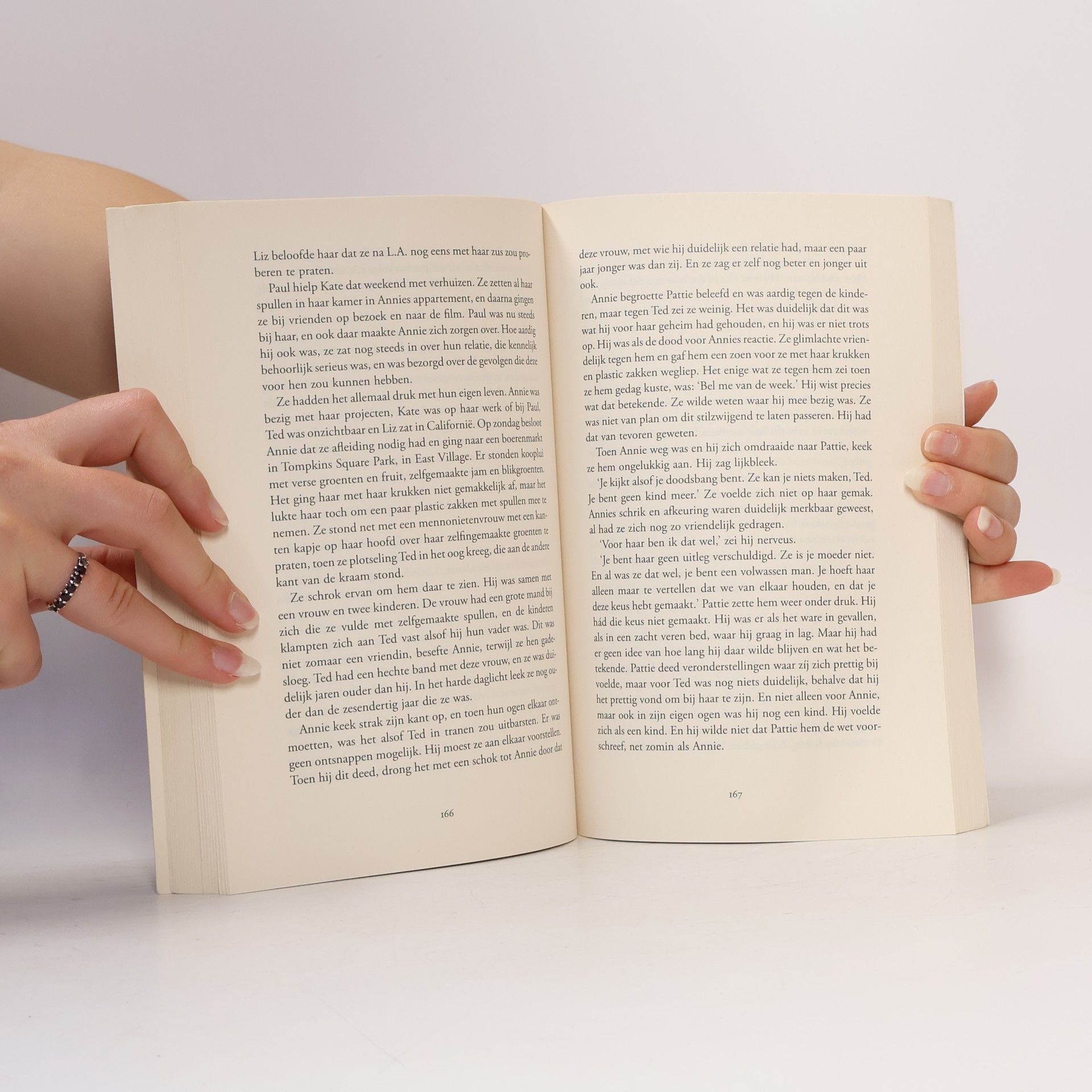 Danielle Steel Familieband (Special Veldboeket 2019)