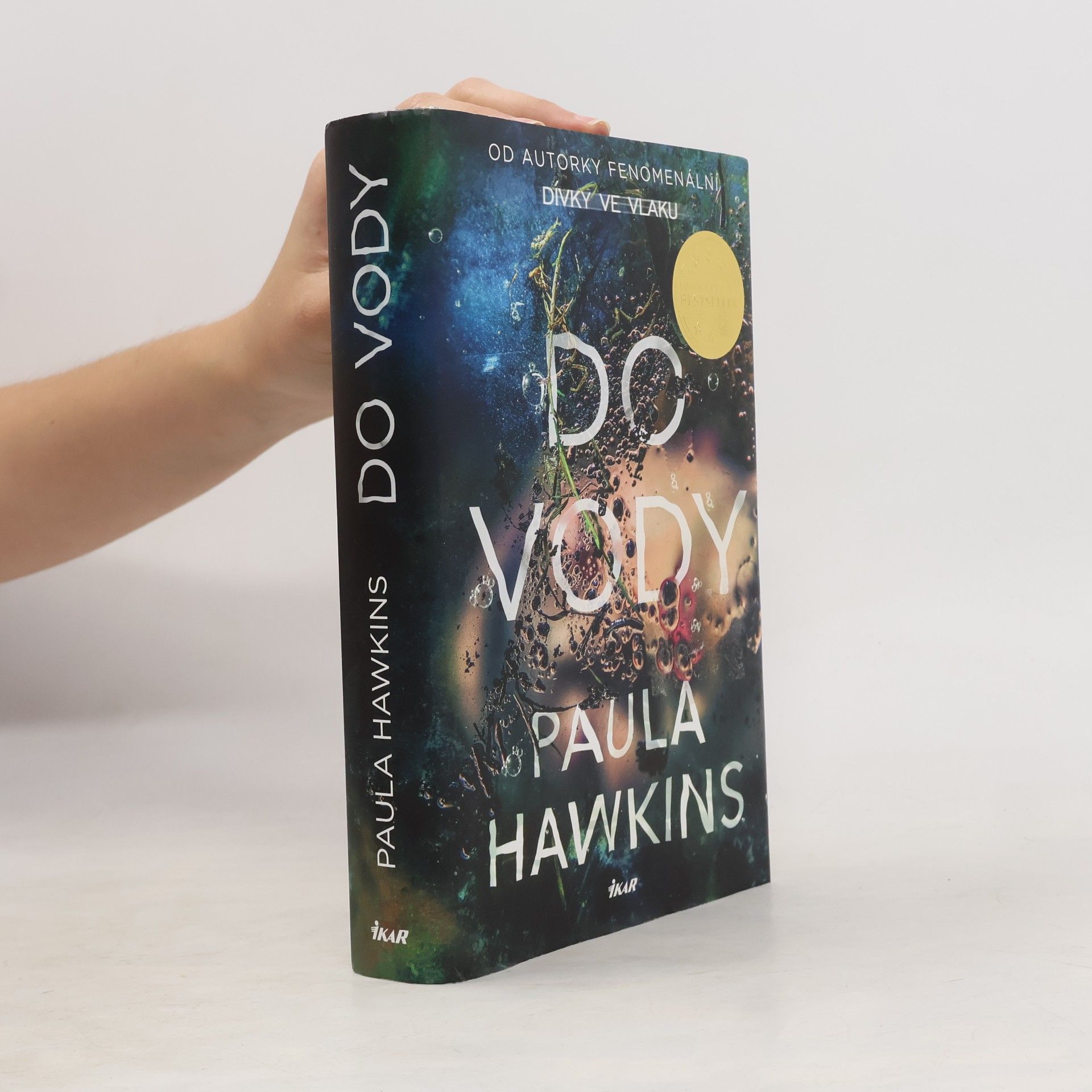 Paula Hawkins Do vody