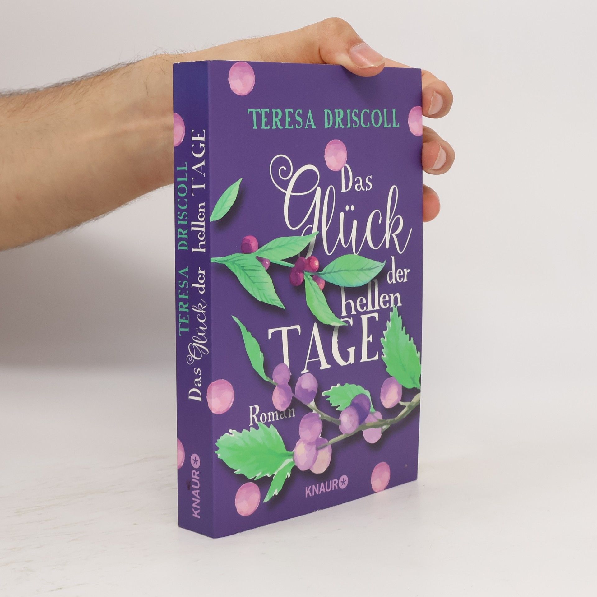 Teresa Driscoll Das Glück der hellen Tage