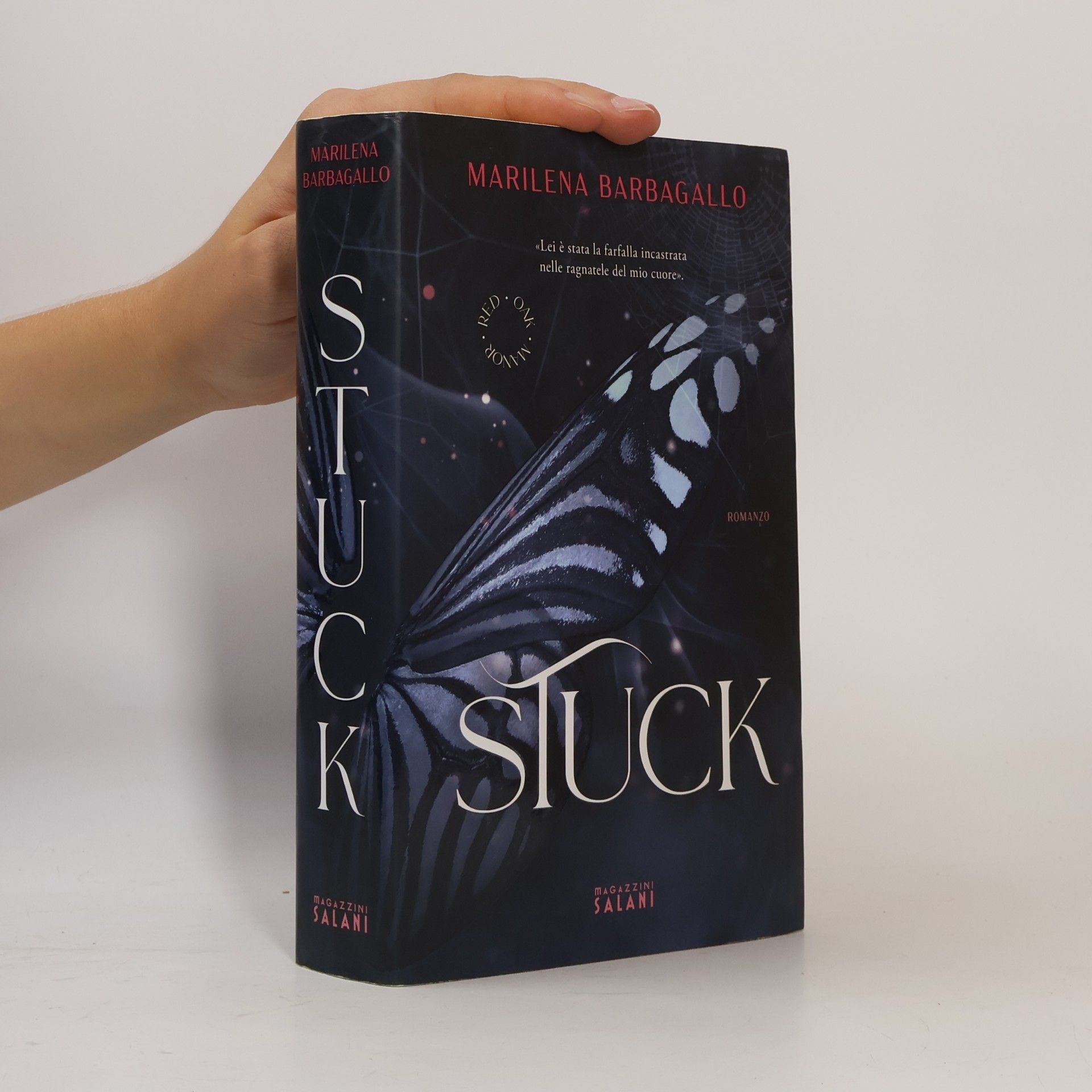 Marilena Barbagallo Stuck