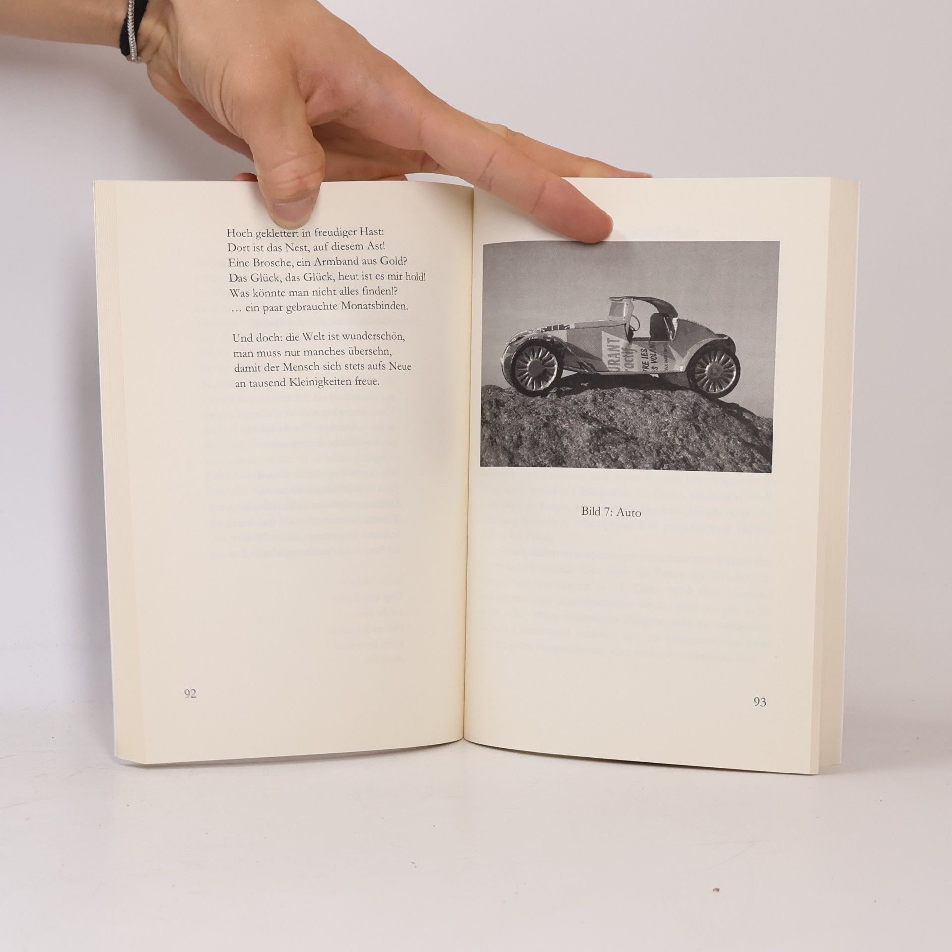 Ulrich Fritsche Nixenehre: Sinnsuchverse