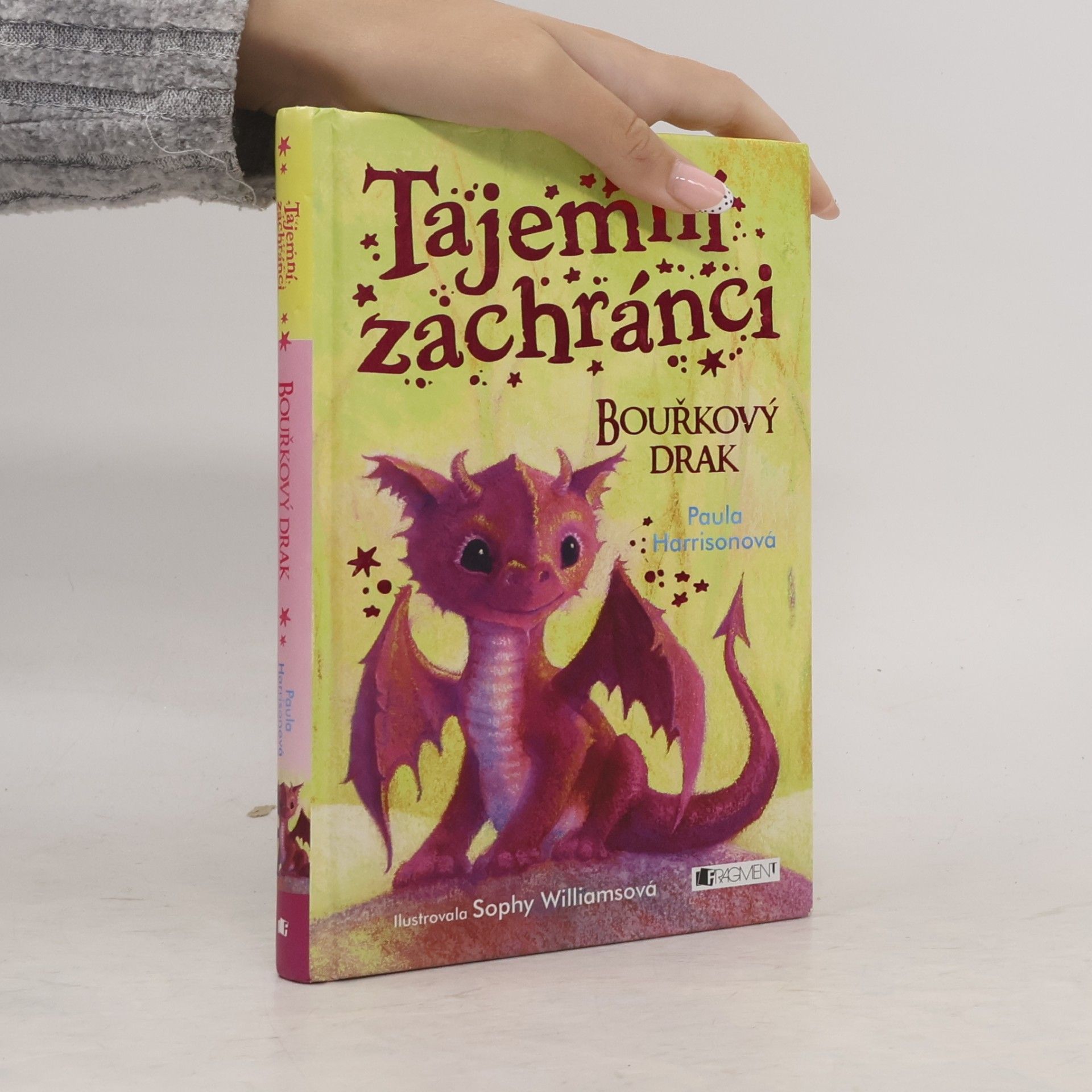 Paula Harrison Tajemní zachránci - Bouřkový drak
