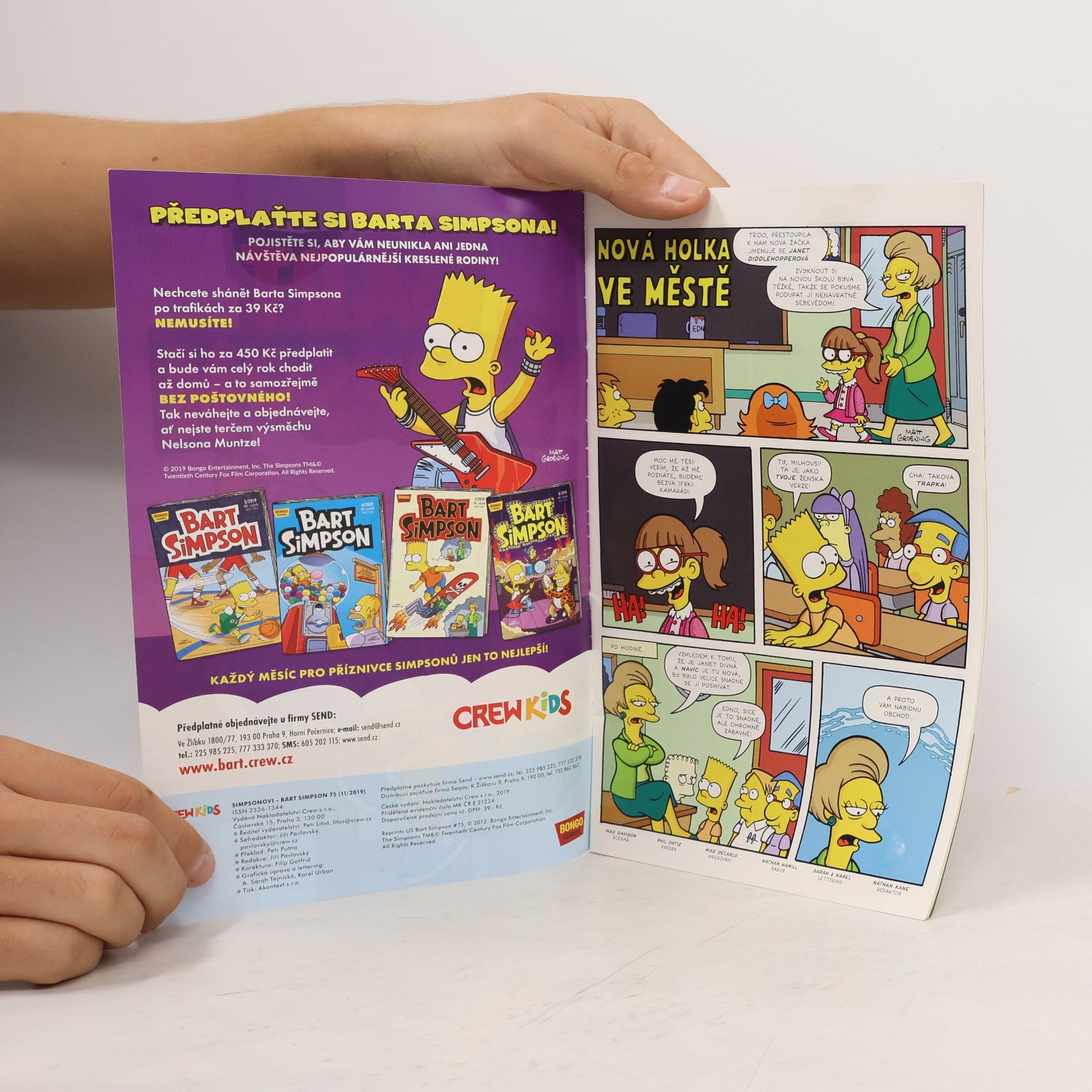 Tony DiGerolamo Bart Simpson 11/2019