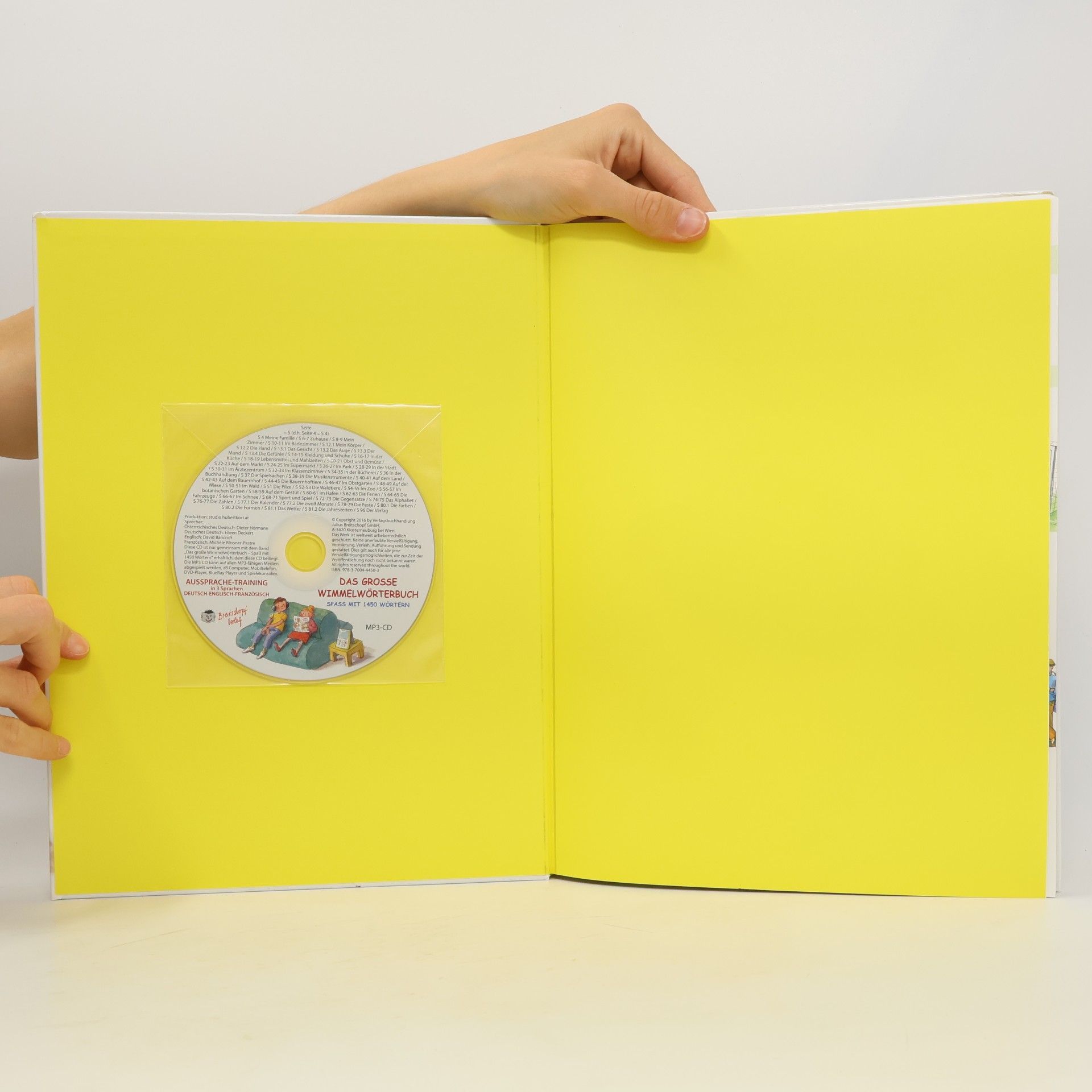 Eileen Deckert Das große Wimmelwörterbuch