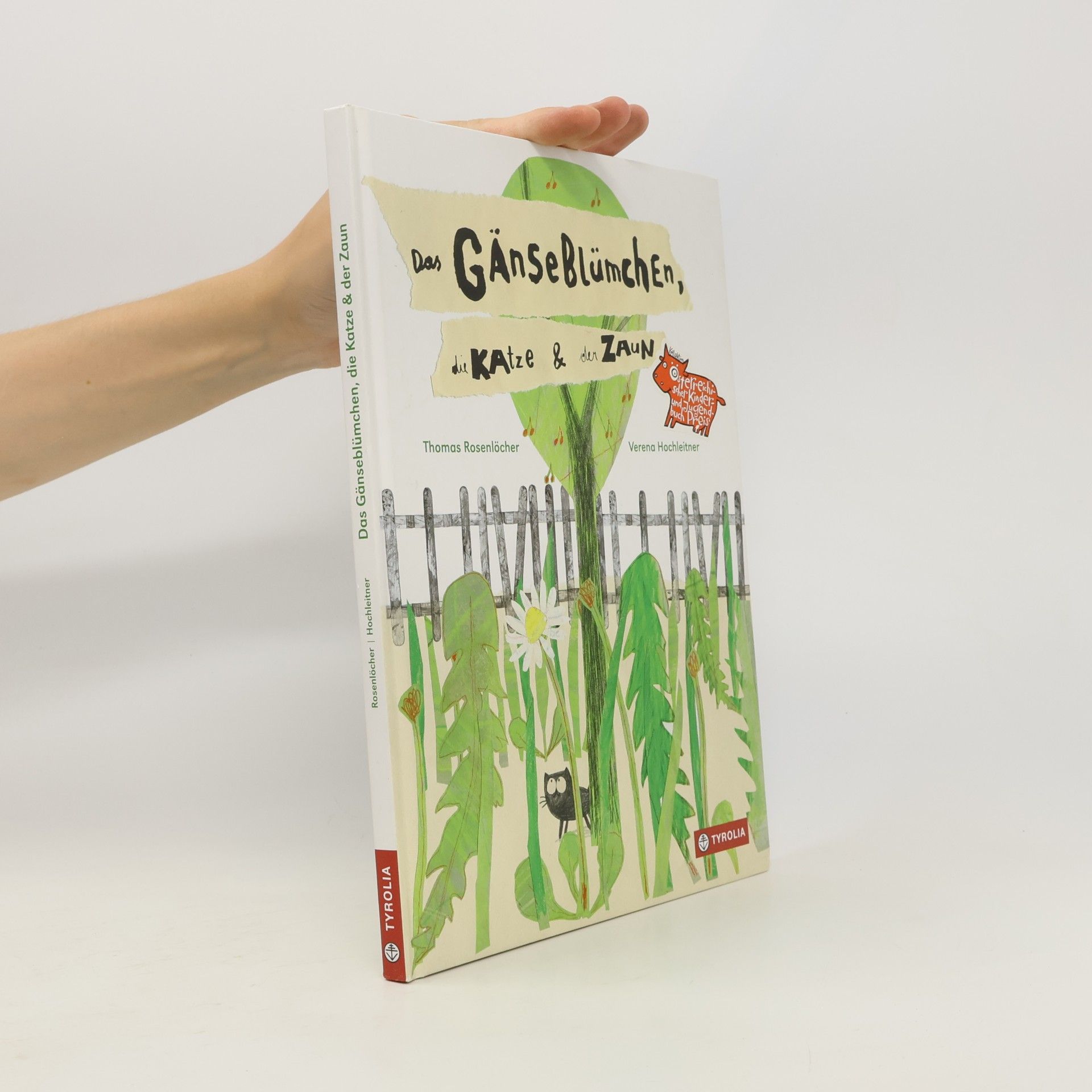 Das Gänseblümchen, die Katze & der Zaun