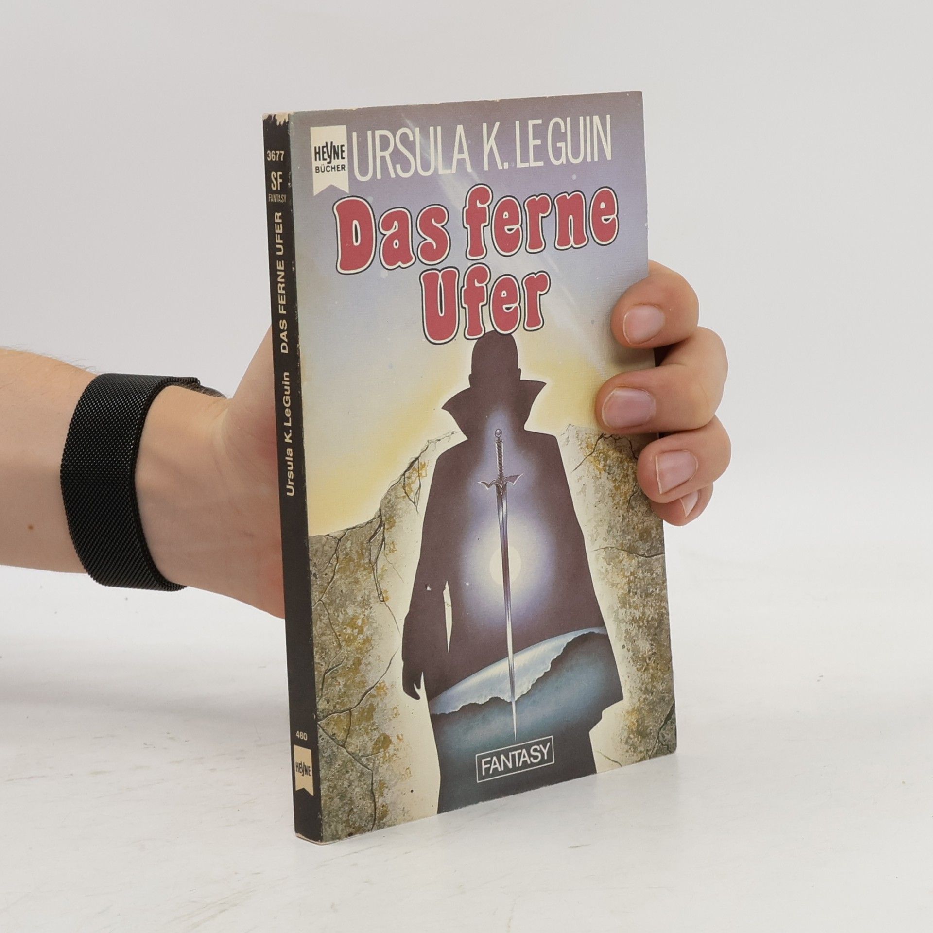 Das ferne Ufer