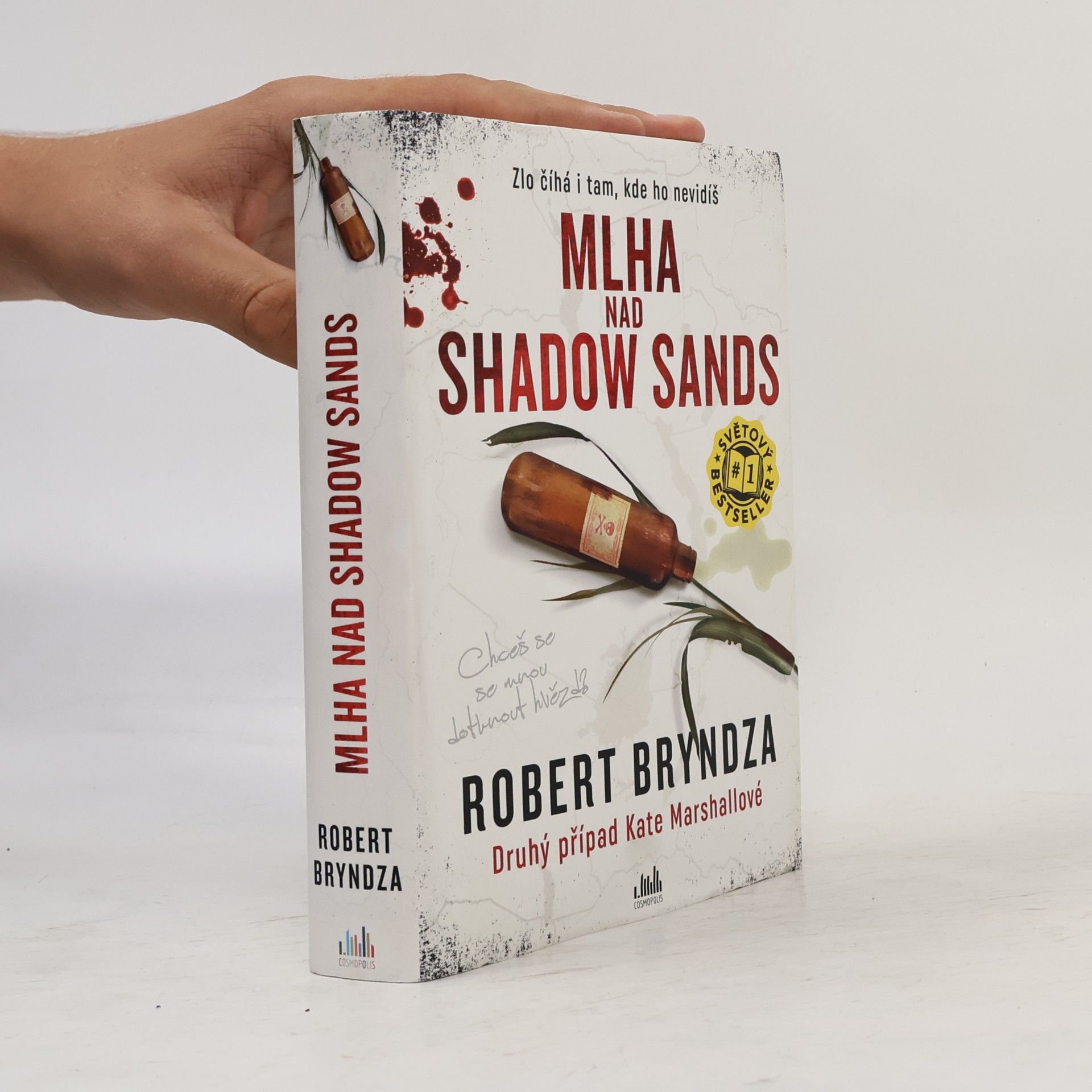 Robert Bryndza Mlha nad Shadow Sands