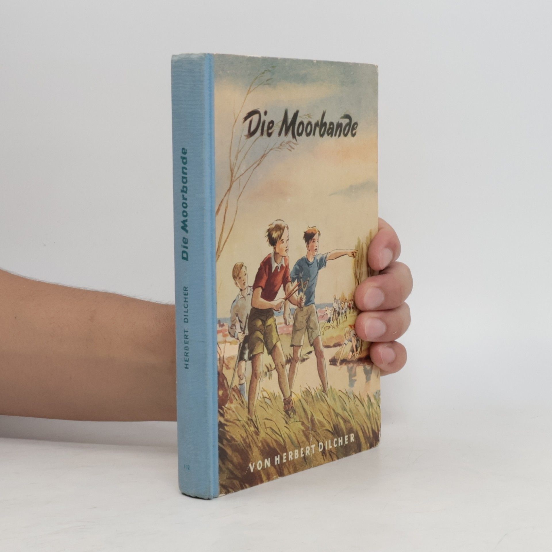 Herbert Dilcher Die Moorbande