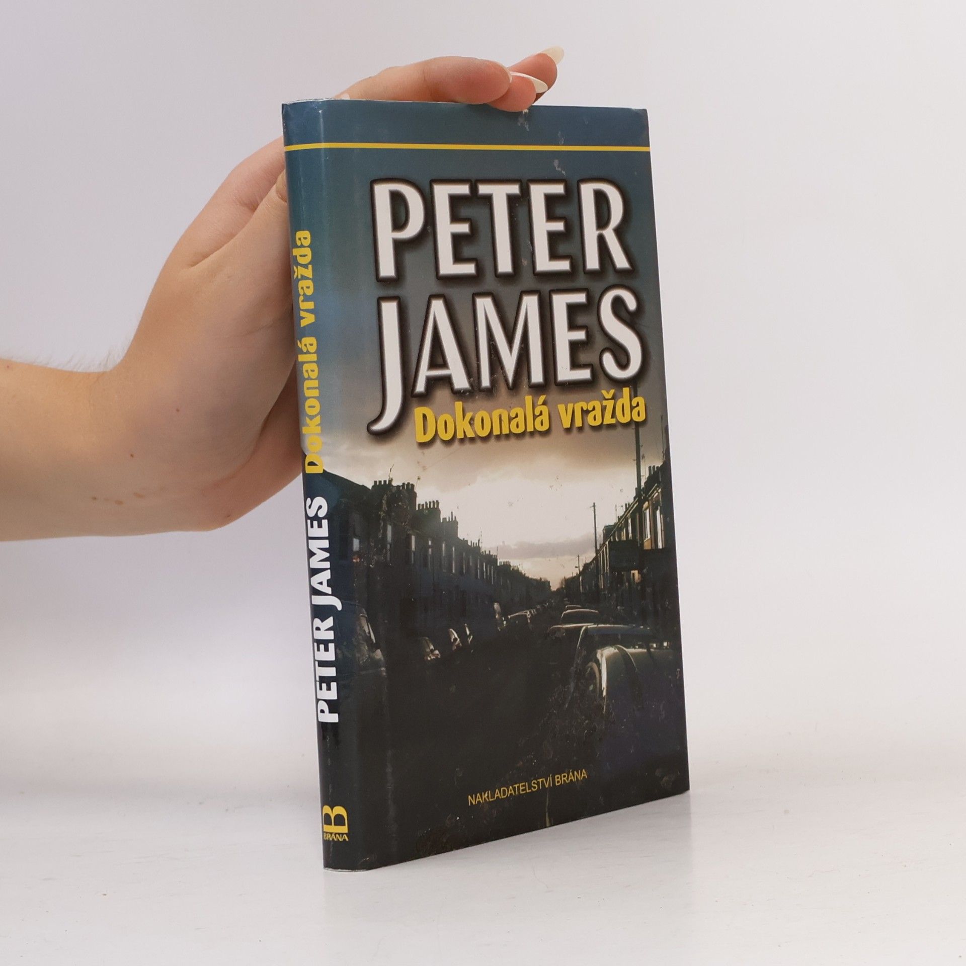 Peter James Dokonalá vražda