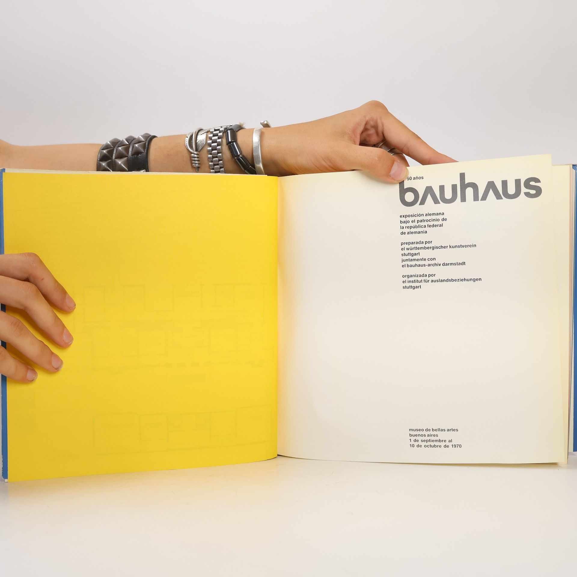 Various authors 50 años Bauhaus