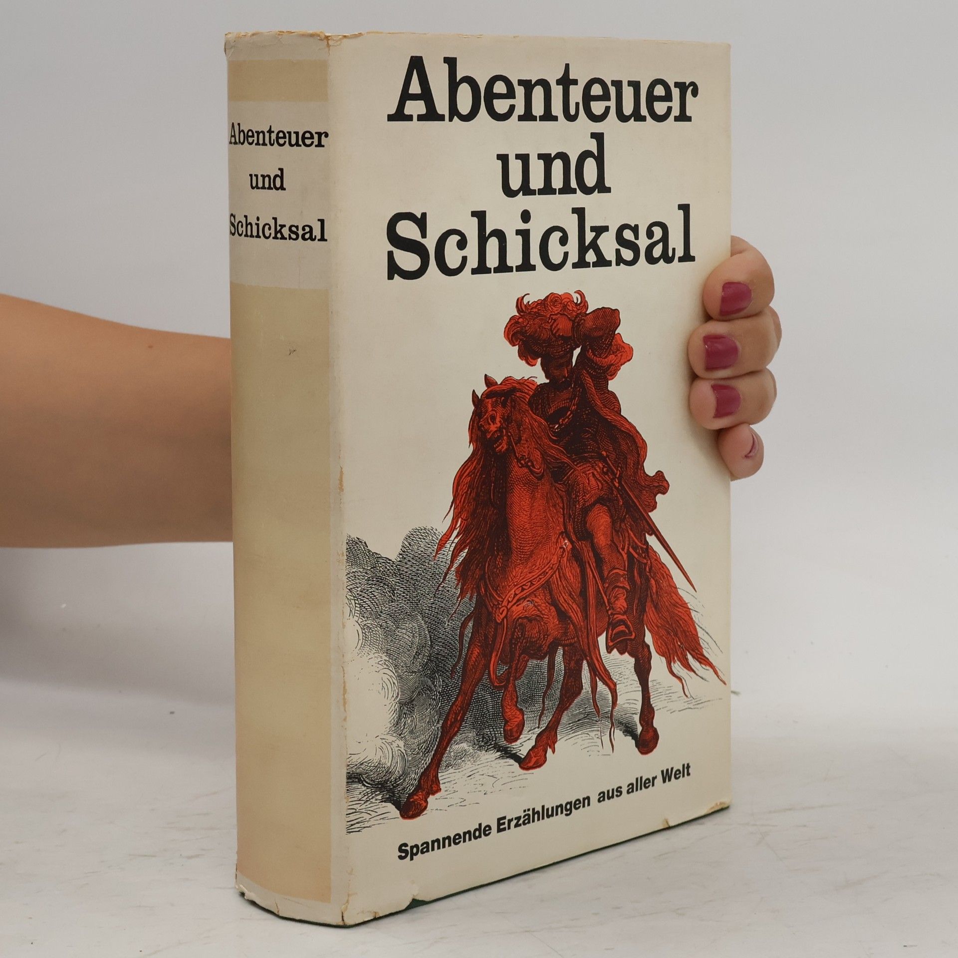 Kolektiv autorů Abenteuer und Schicksal