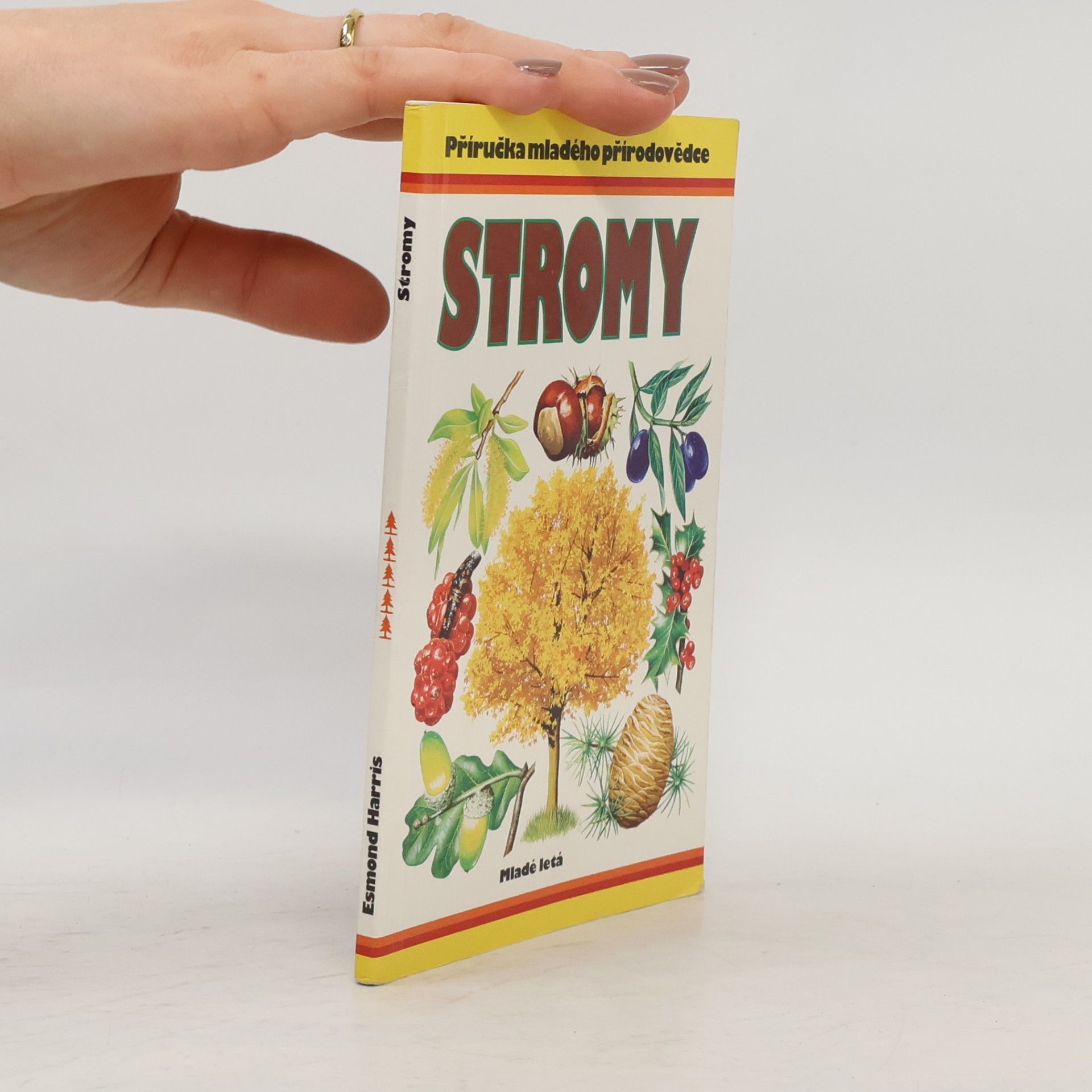 Věra Mandáková Stromy