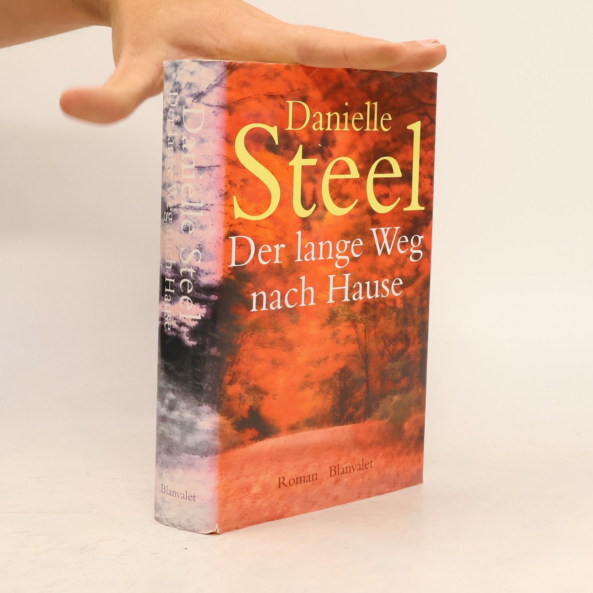 Danielle Steel Der lange Weg nach Hause
