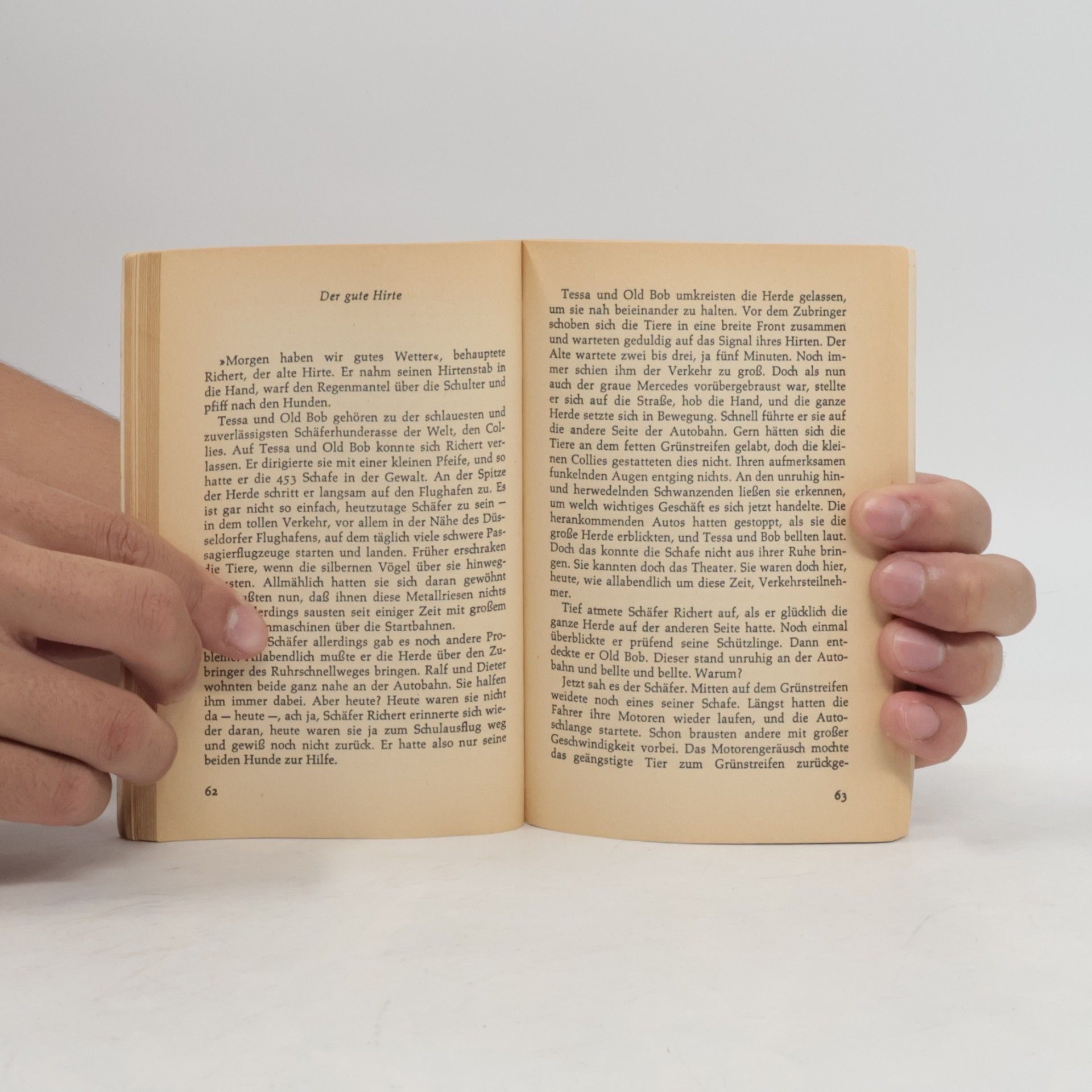 Wolfgang Heiner Kleine R. Brockhaus-Bücherei - 37: Tom, der Zettelschneider und andere Geschichten