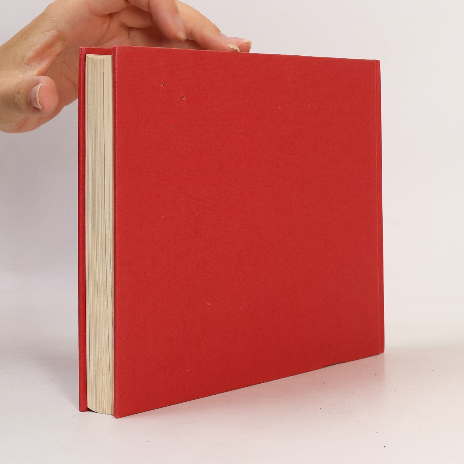 kolektiv Schnelle Küche