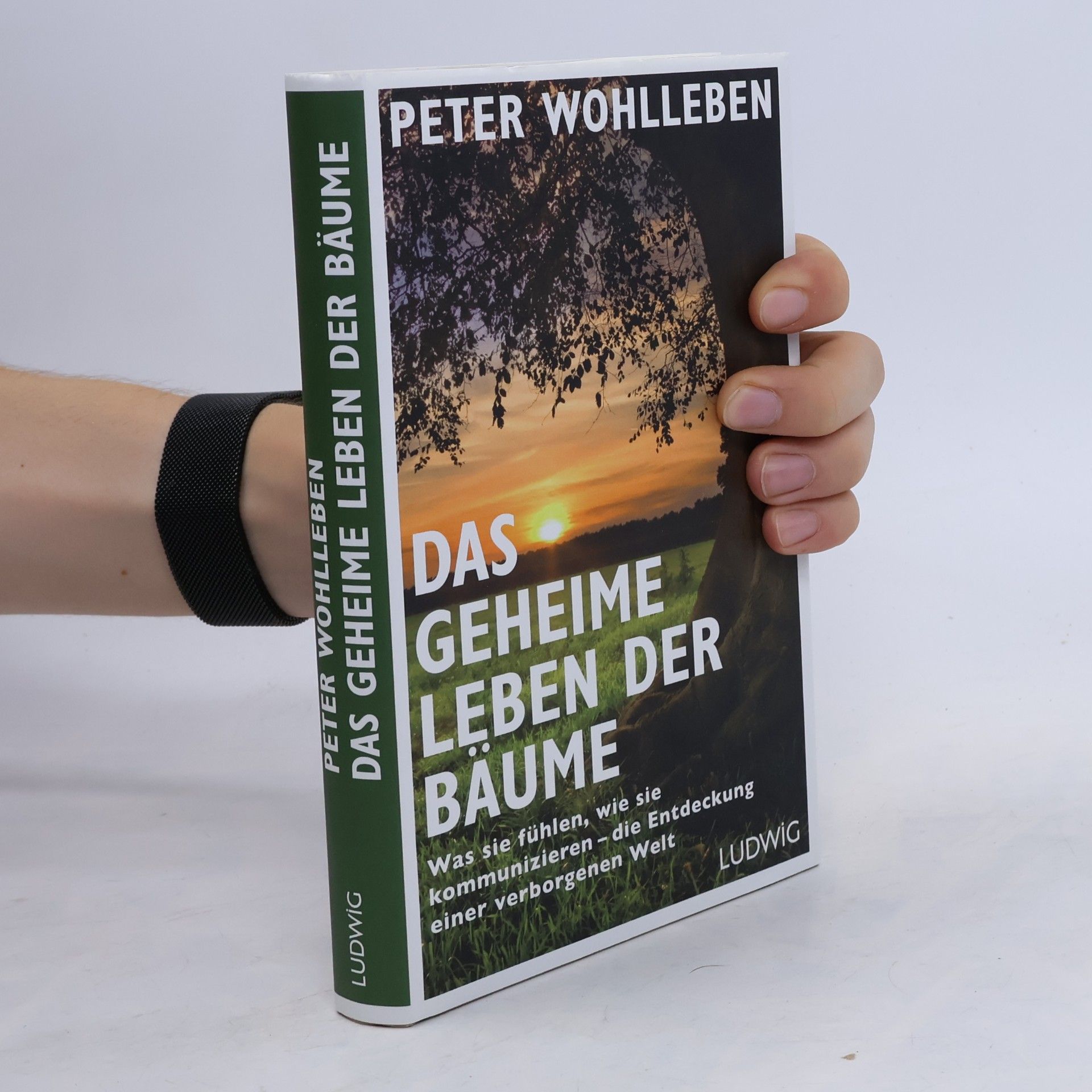 Peter Wohlleben Das geheime Leben der Bäume