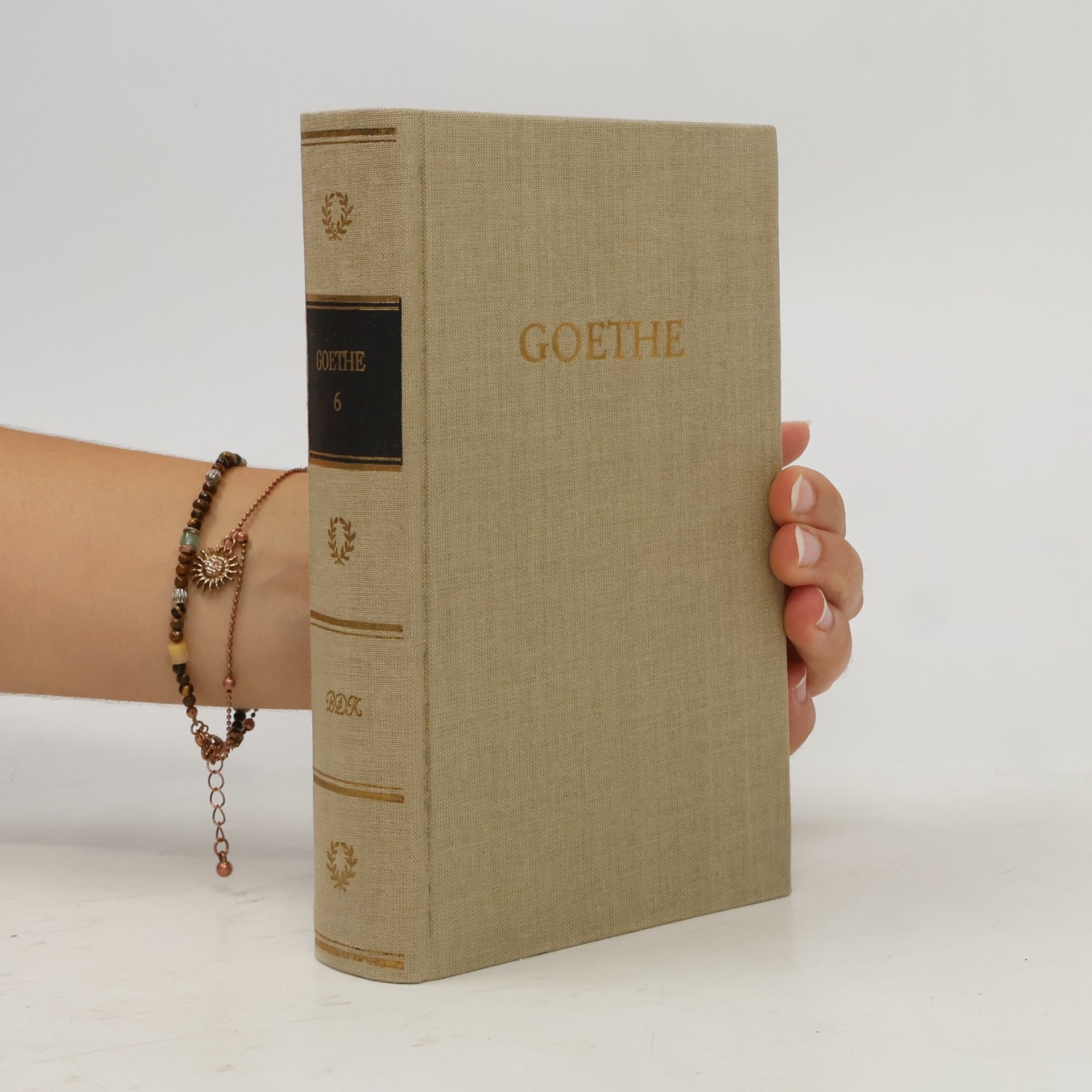 Johann Wolfgang von Goethe Goethes Werke 6