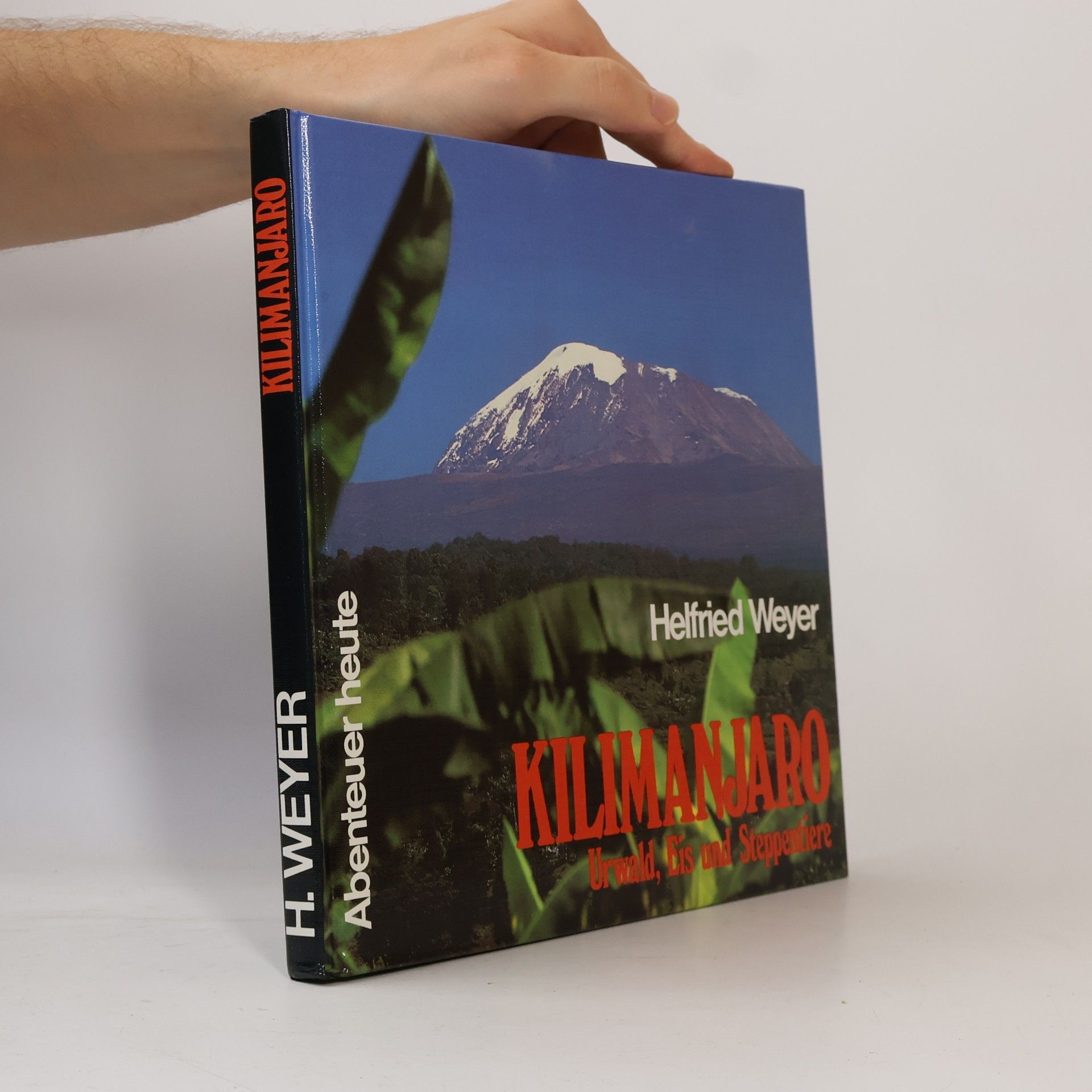 Helfried Weyer Kilimanjaro