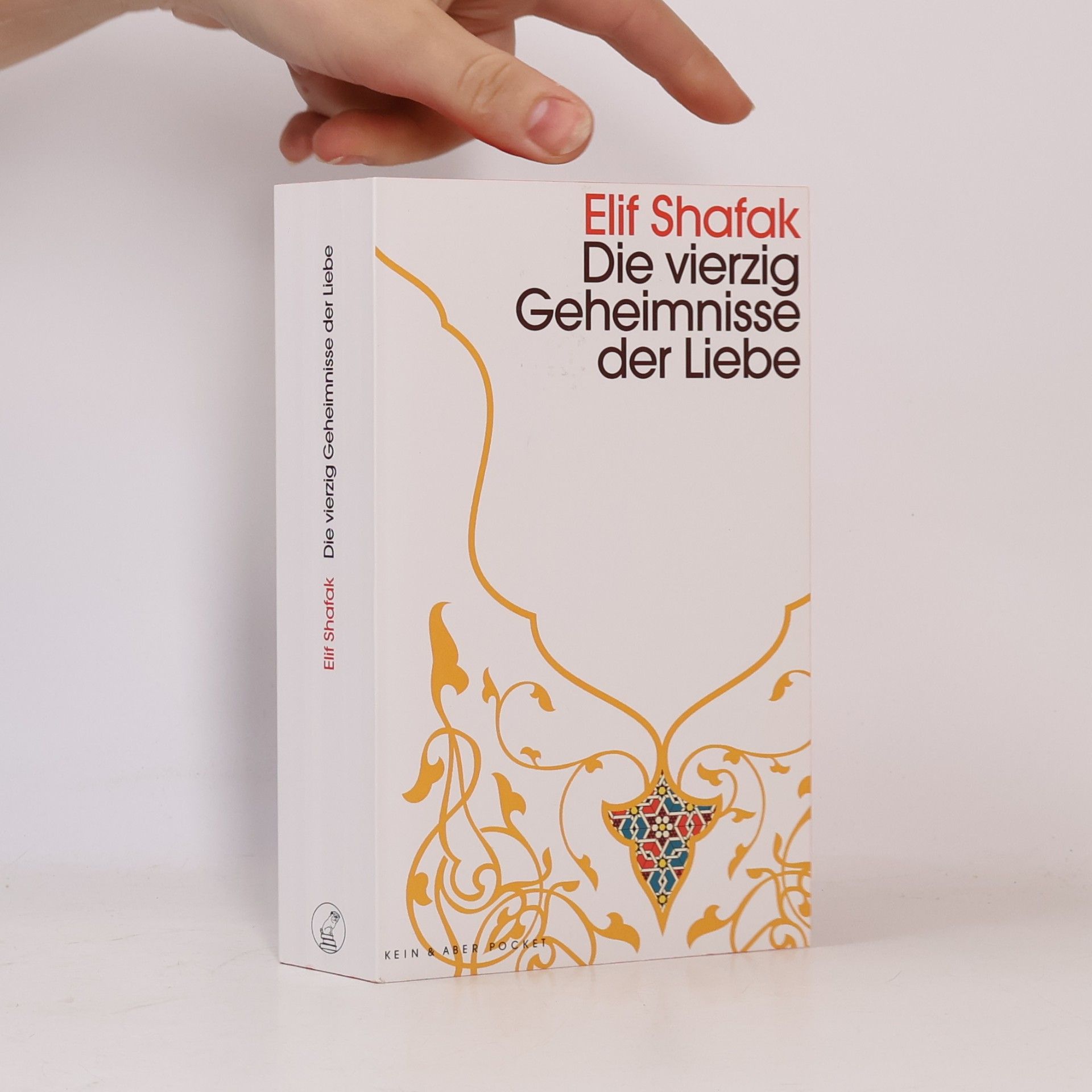 Elif Shafak Die vierzig Geheimnisse der Liebe