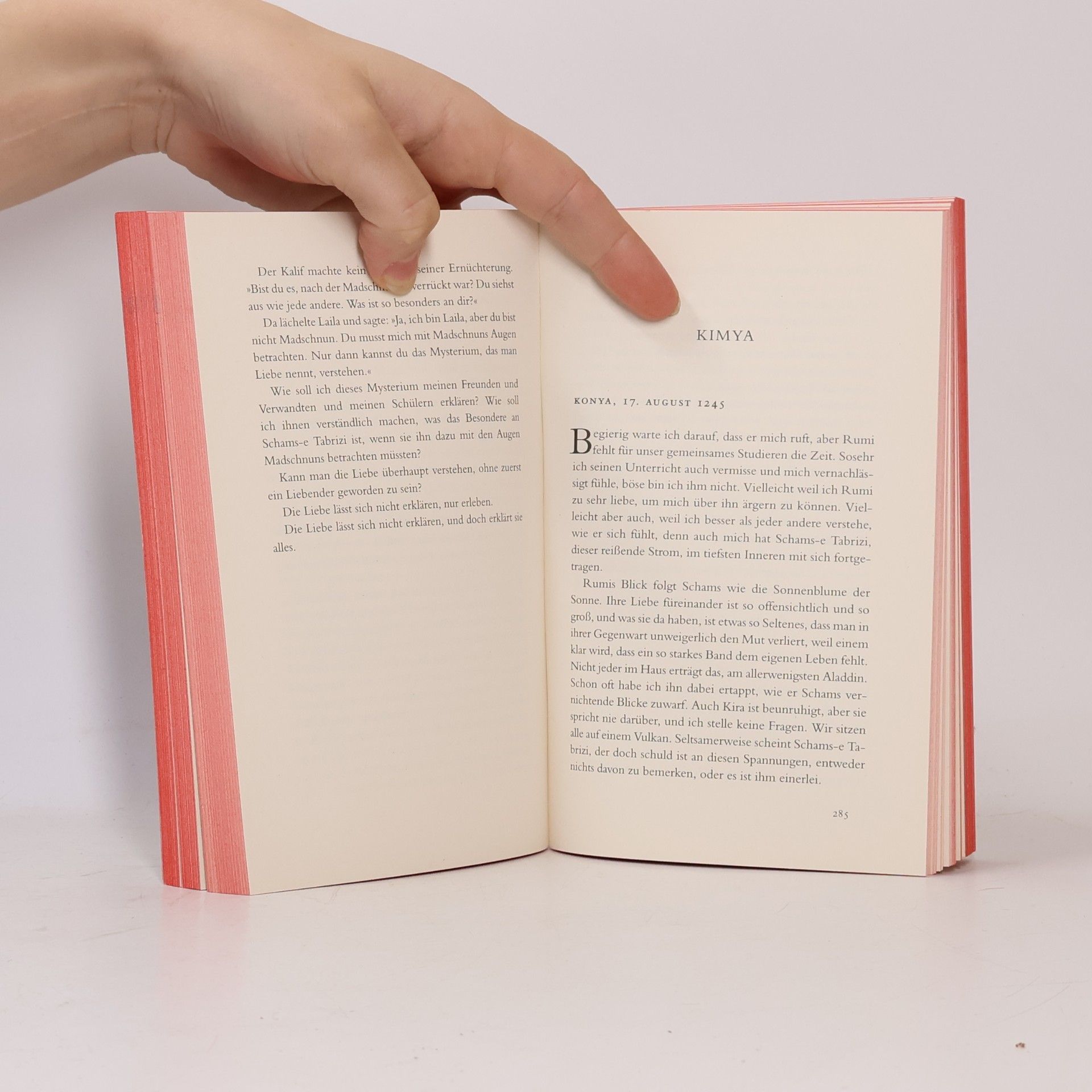 Elif Shafak Die vierzig Geheimnisse der Liebe