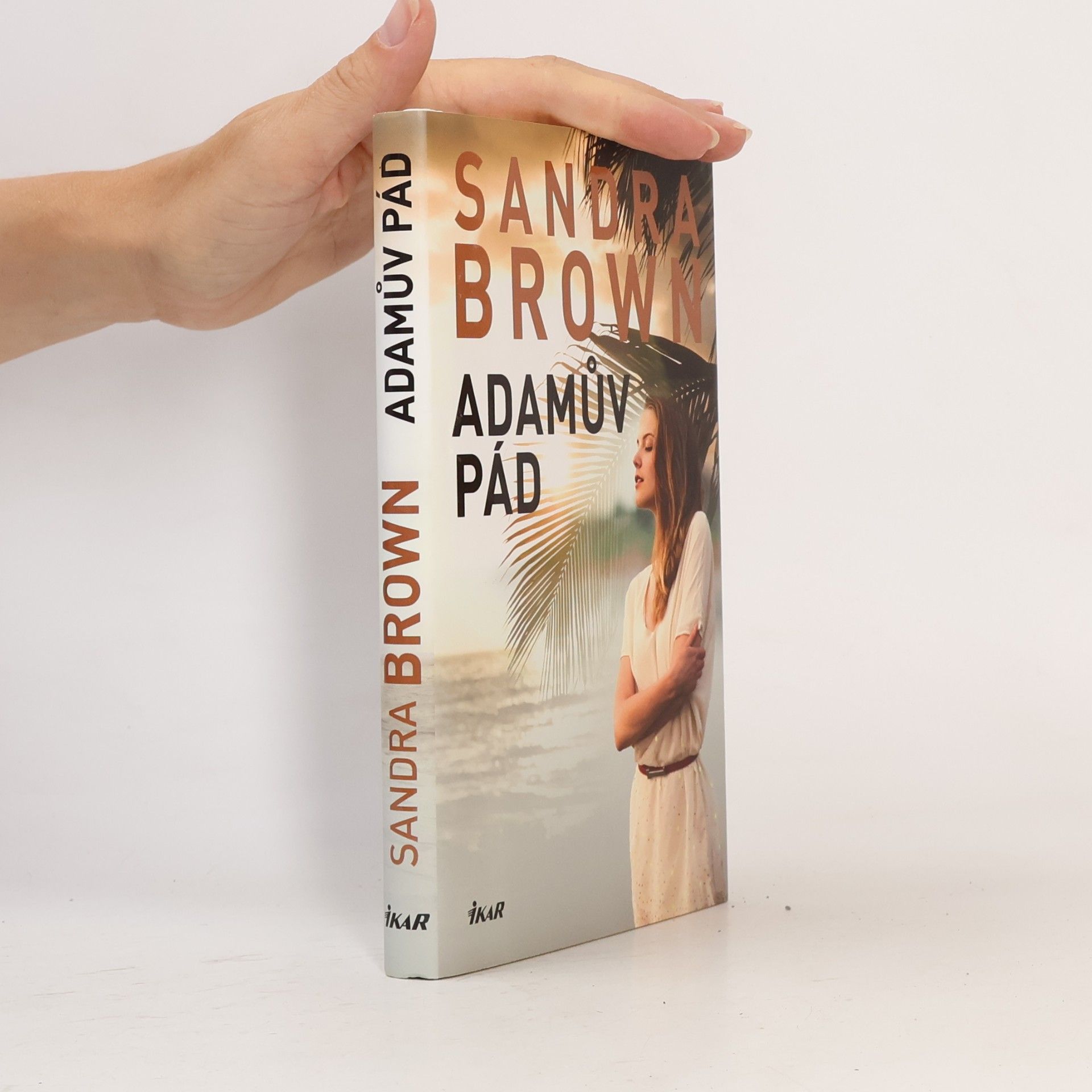 Sandra Brown Adamův pád