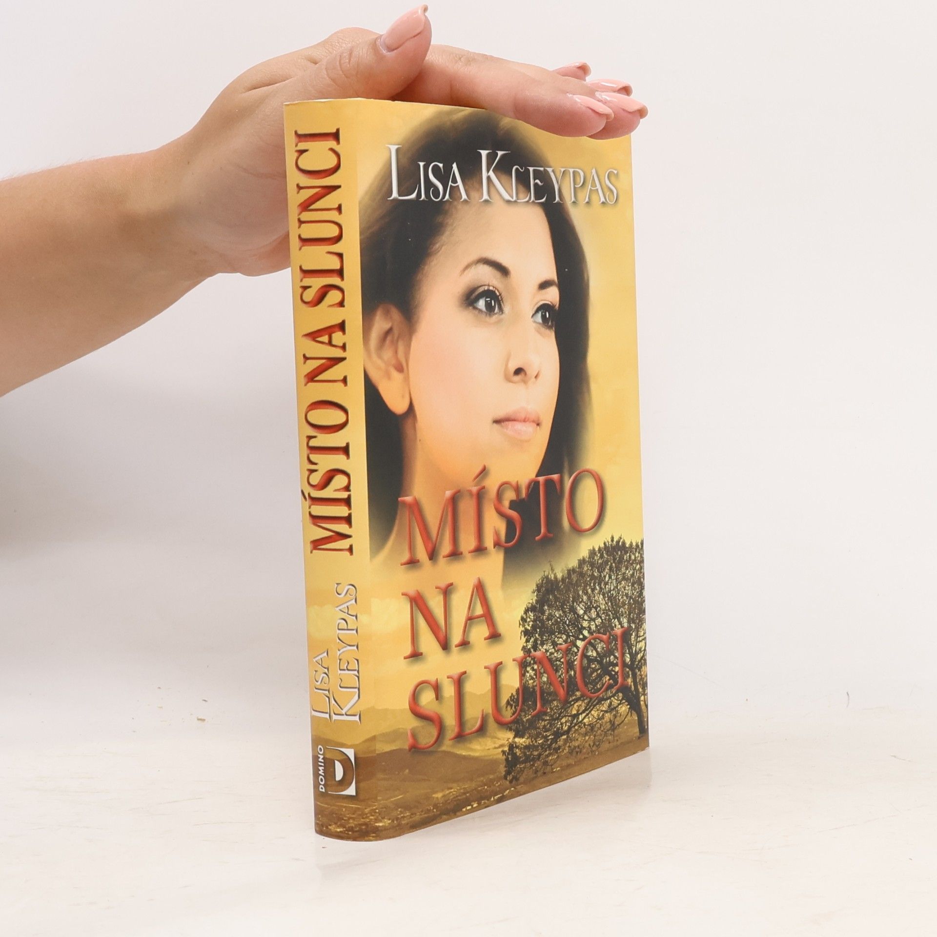 Lisa Kleypas Místo na slunci