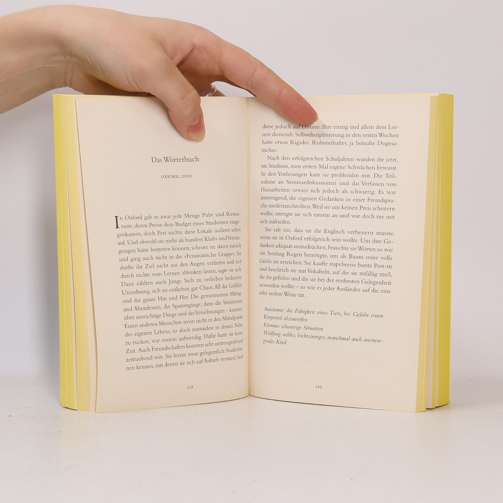 Elif Shafak Der Geruch des Paradieses