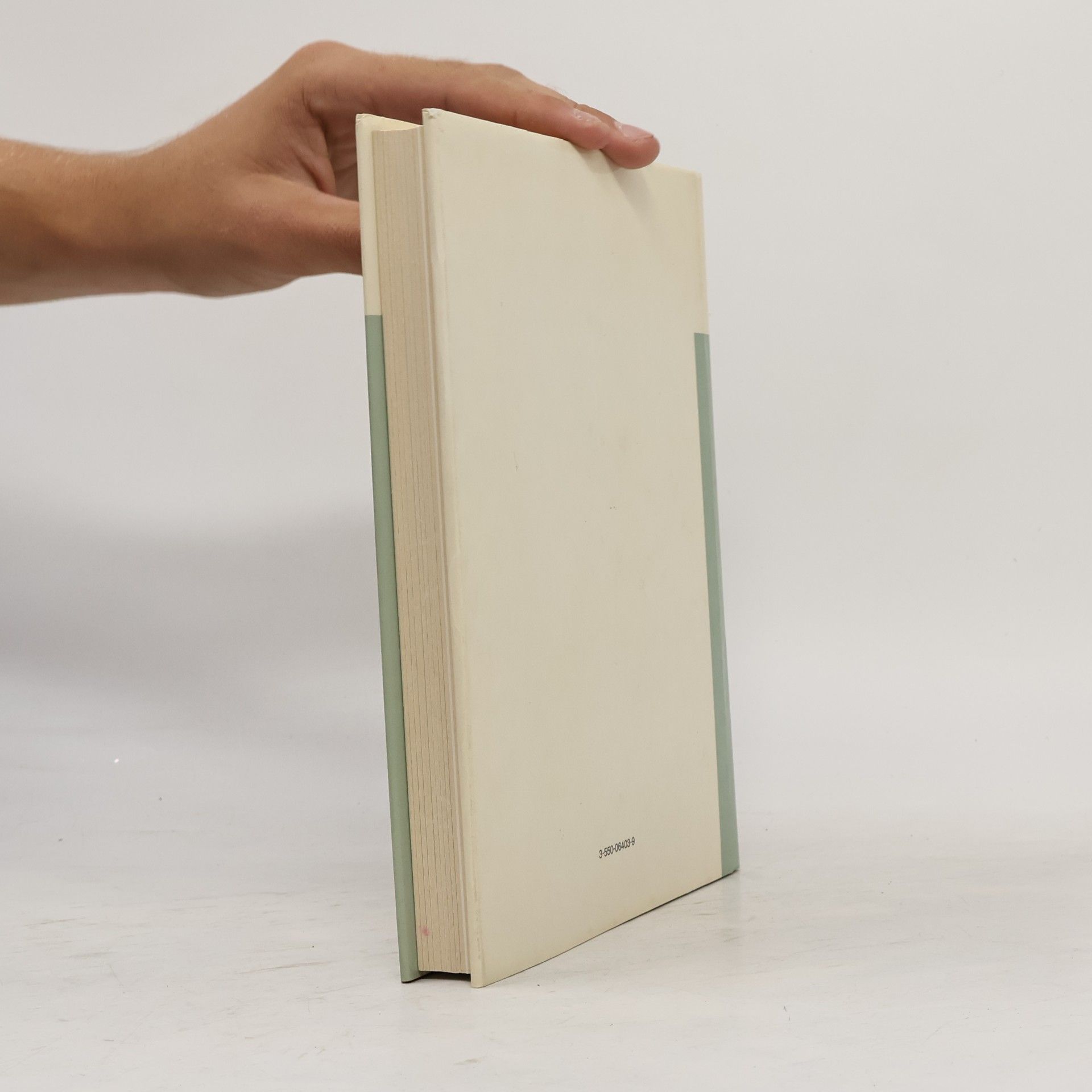 Elfriede Ferber Ullstein-Möbelbuch