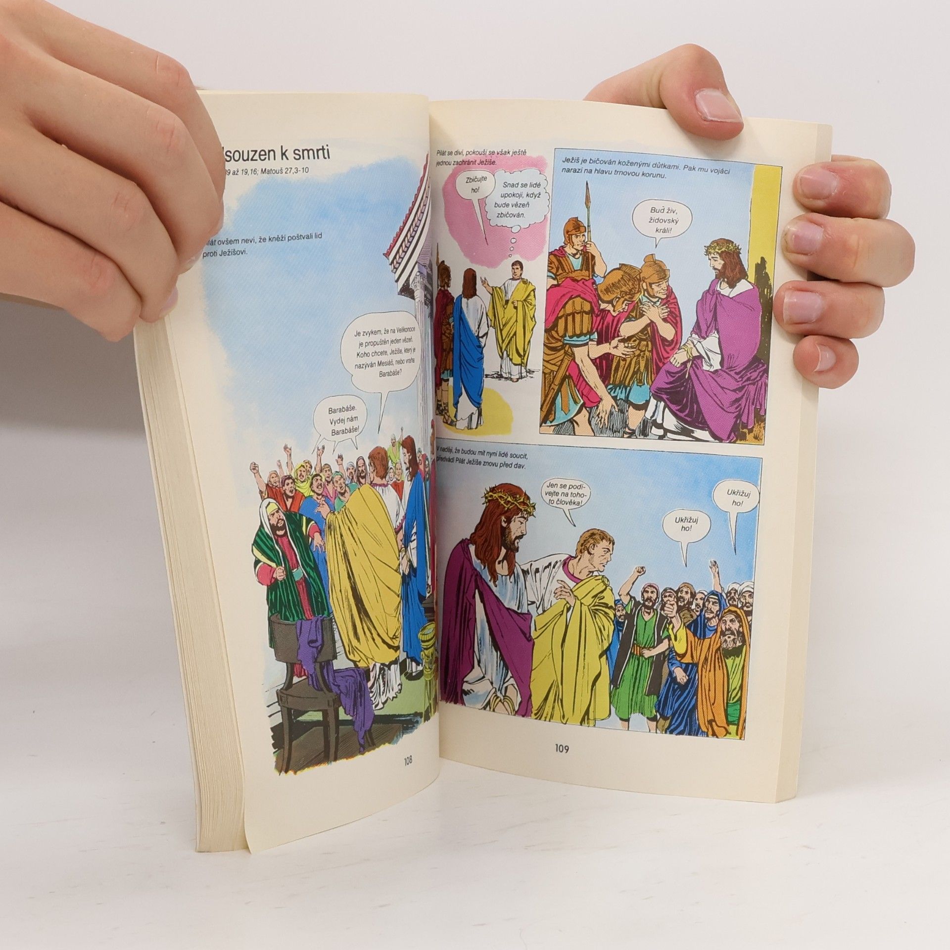 David Cook Nový zákon. Obrázková bible