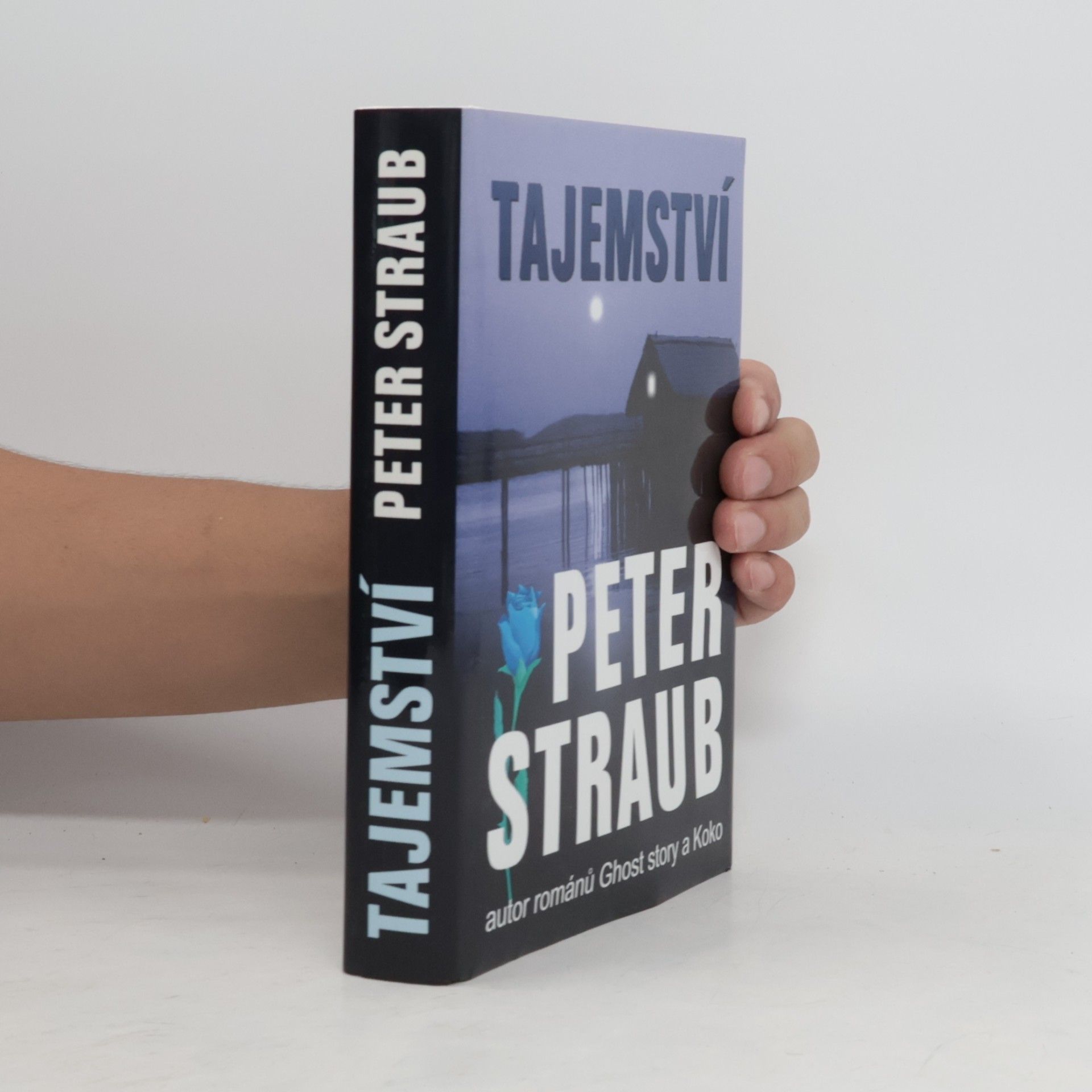 Peter Straub Tajemství