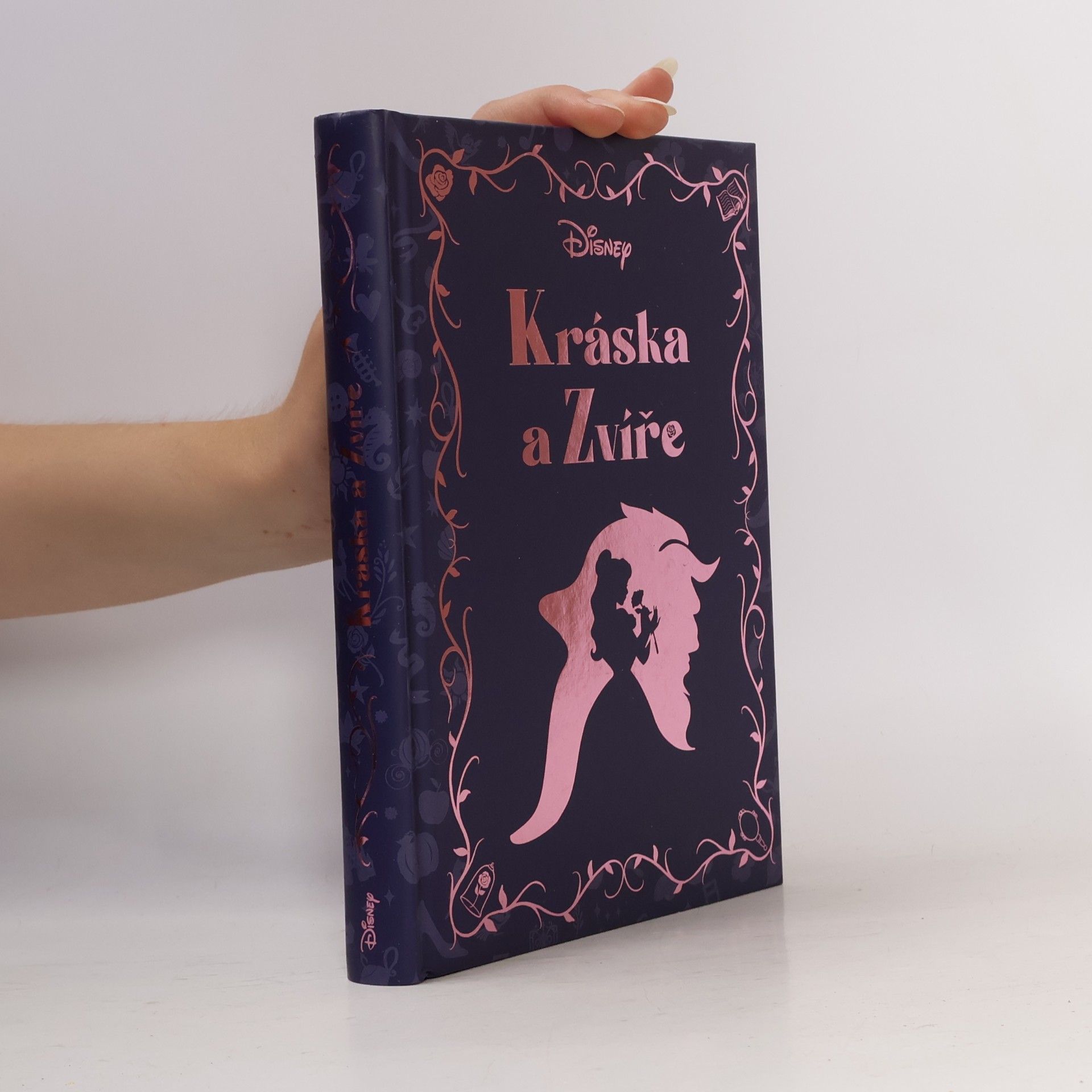 Disney: Kráska a Zvíře