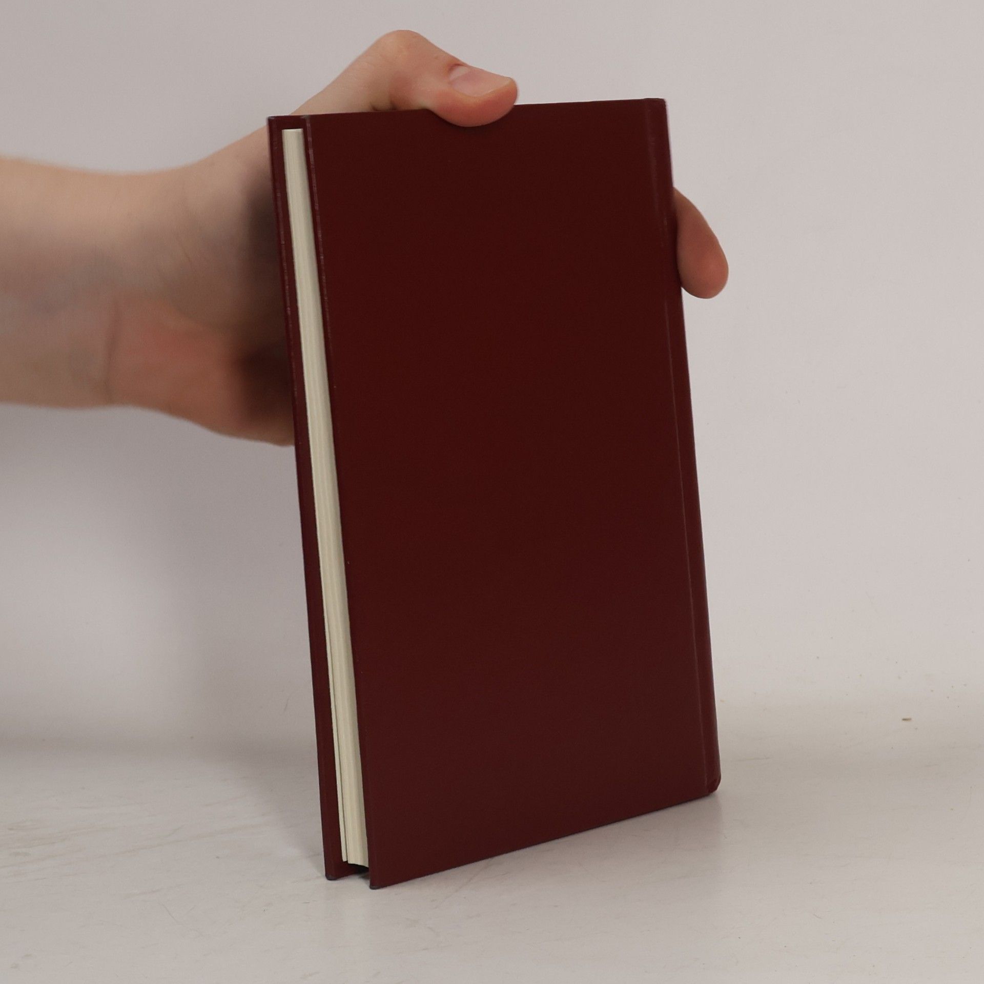 Bill Wilson The Little Red Book