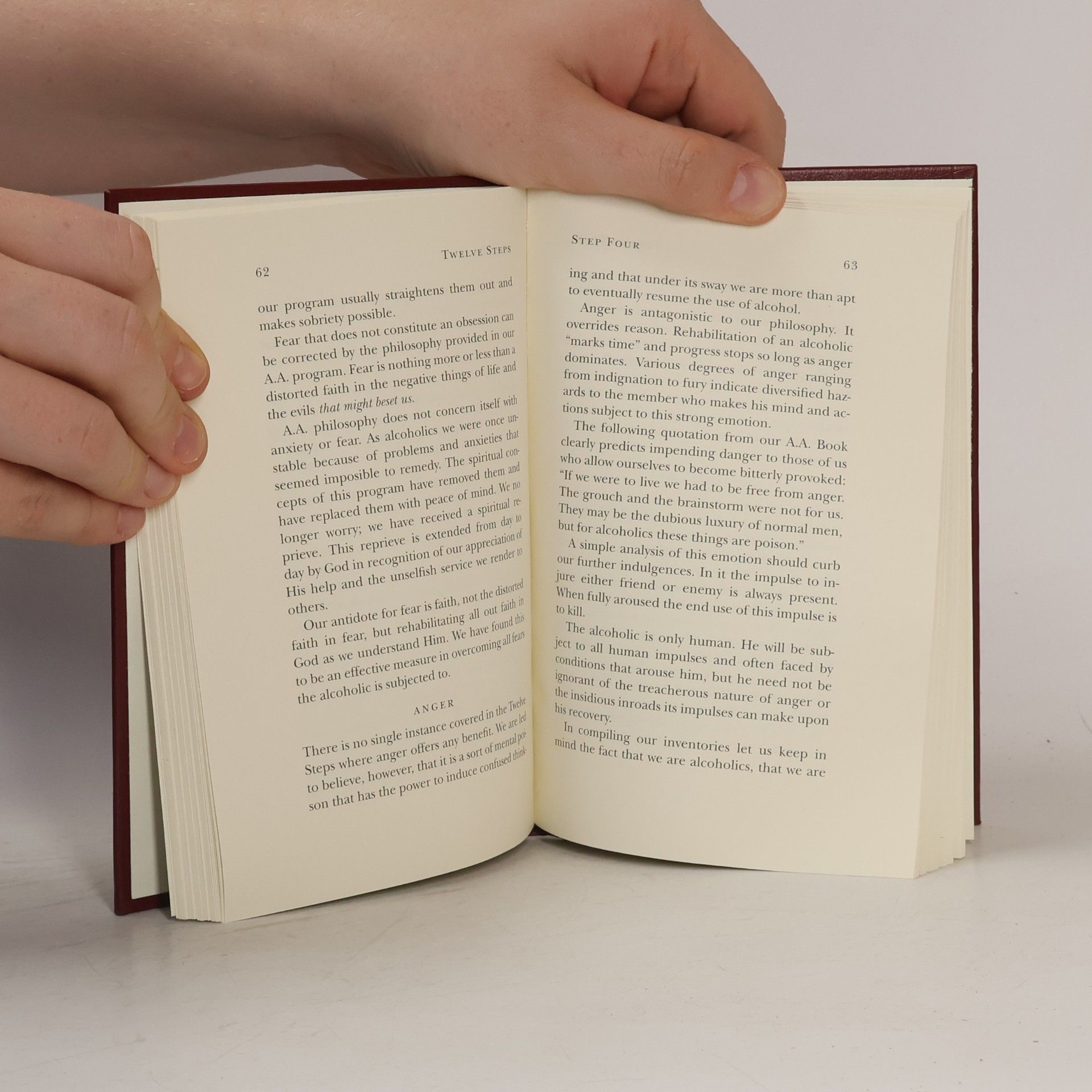 Bill Wilson The Little Red Book