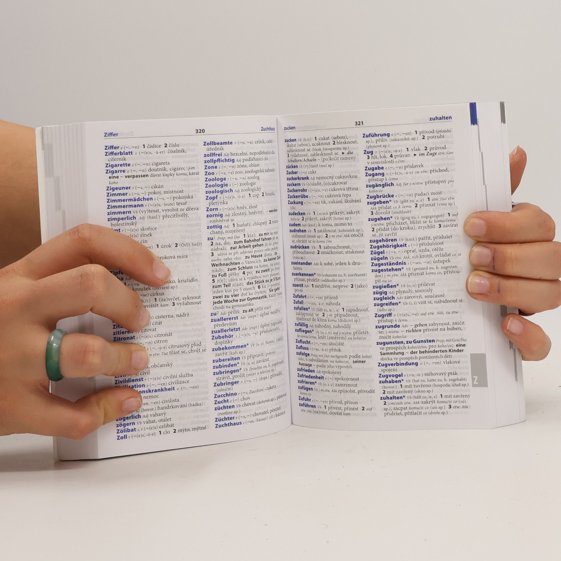 Various authors Šikovný slovník. Německo-český, česko-německý