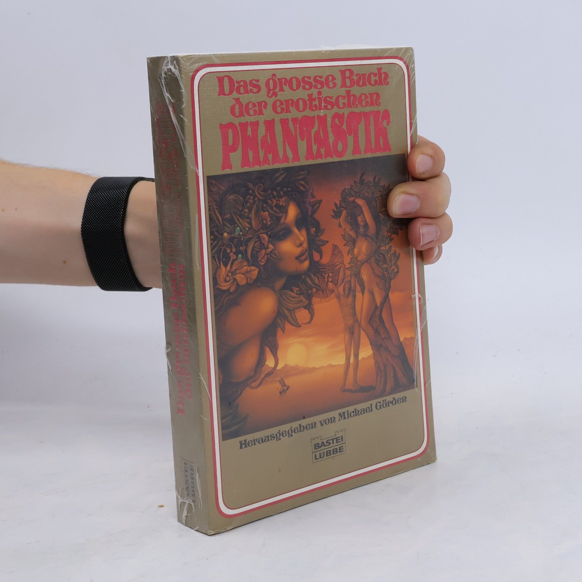 Michael Görden Das grosse Buch der erotischen Phantastik