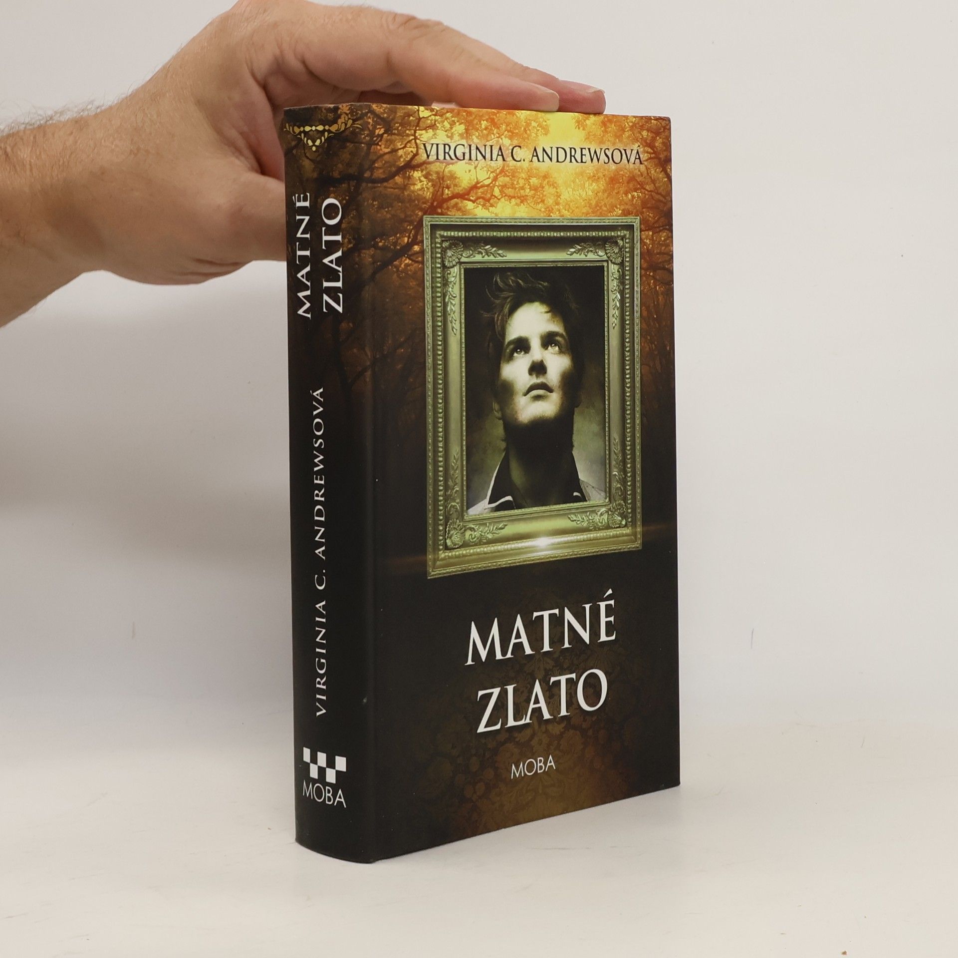 V. C. Andrews Matné zlato