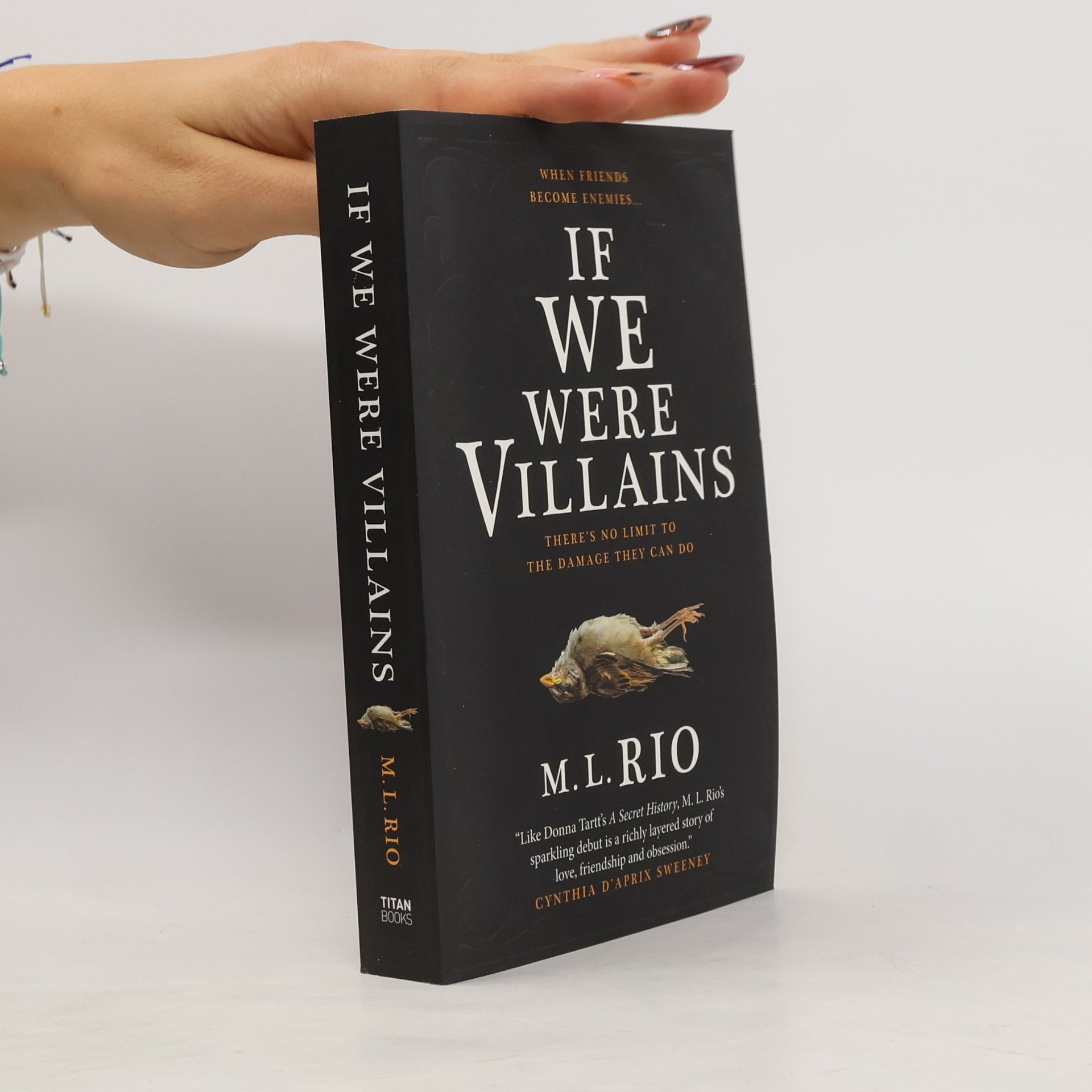 M. L. Rio If We Were Villains