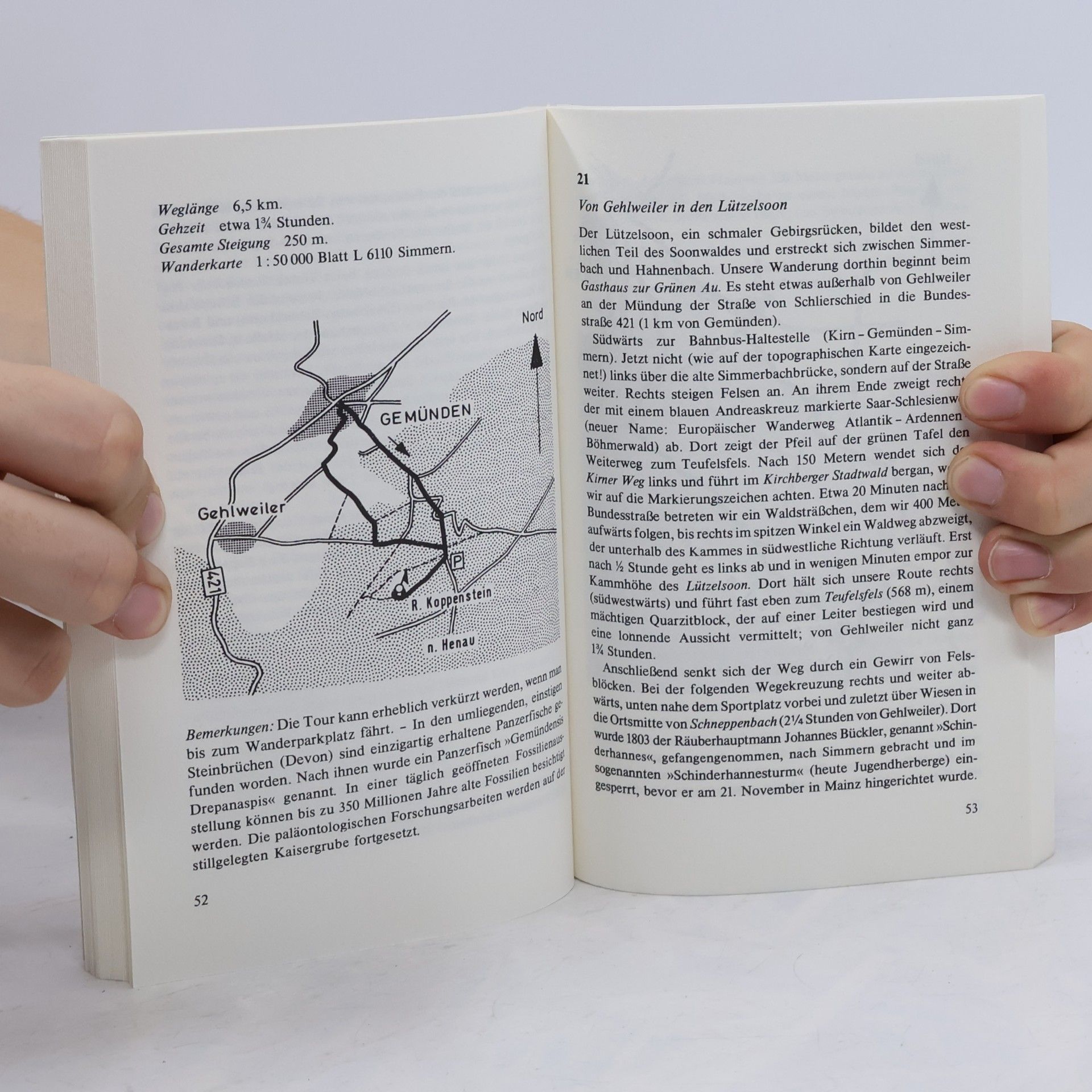 Helmut Dumler Fink Wanderbuch: Rundwanderungen Hunsrück