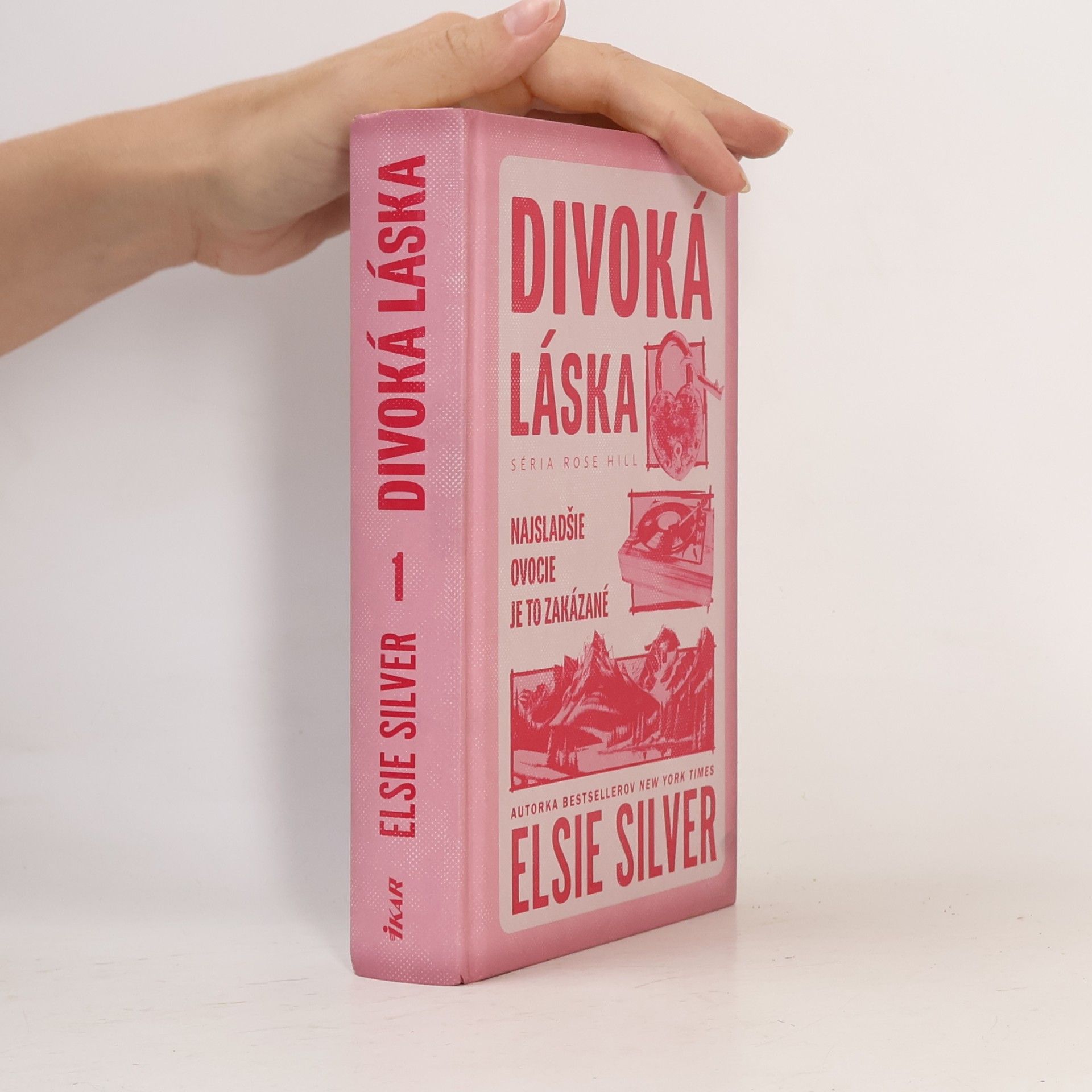 Hana Bojmírová Divoká láska